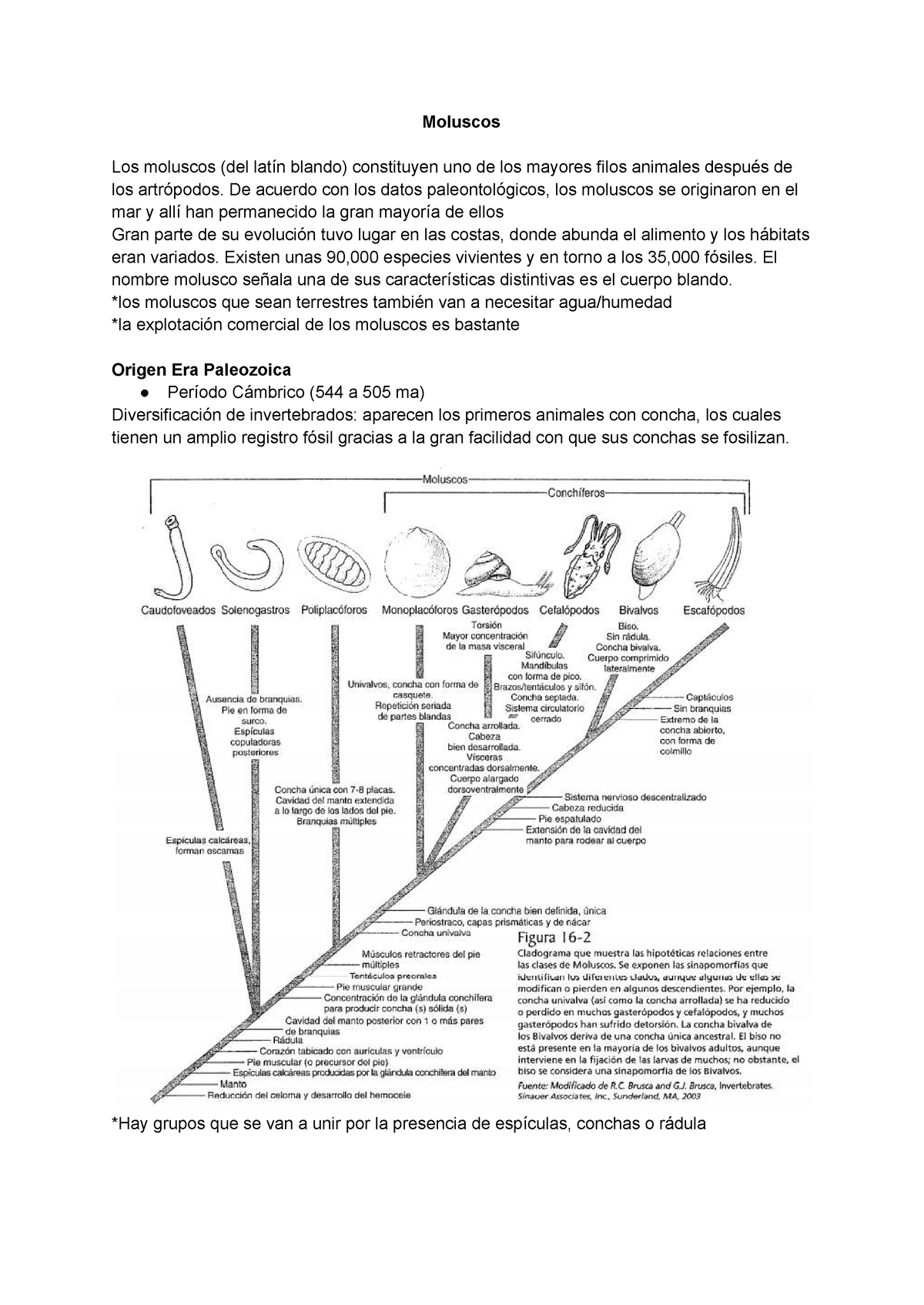 cladograma de invertebrados