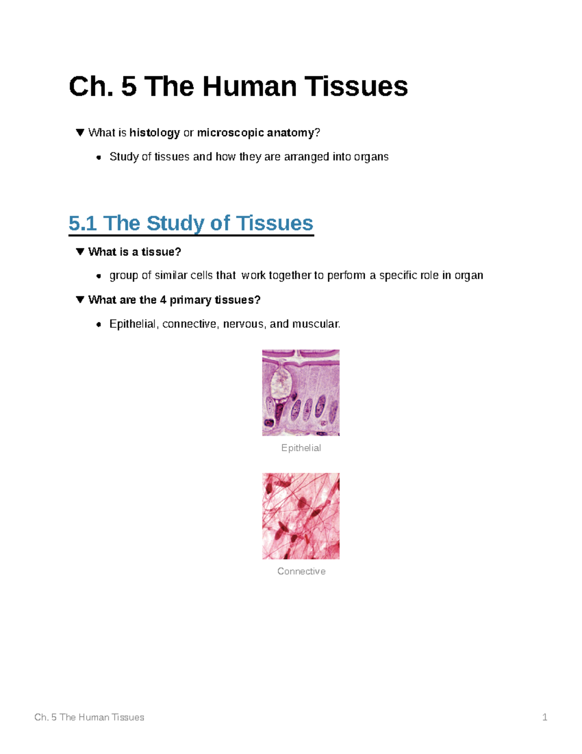Ch NR288 Ch. 5 The Human Tissues What is histology or microscopic