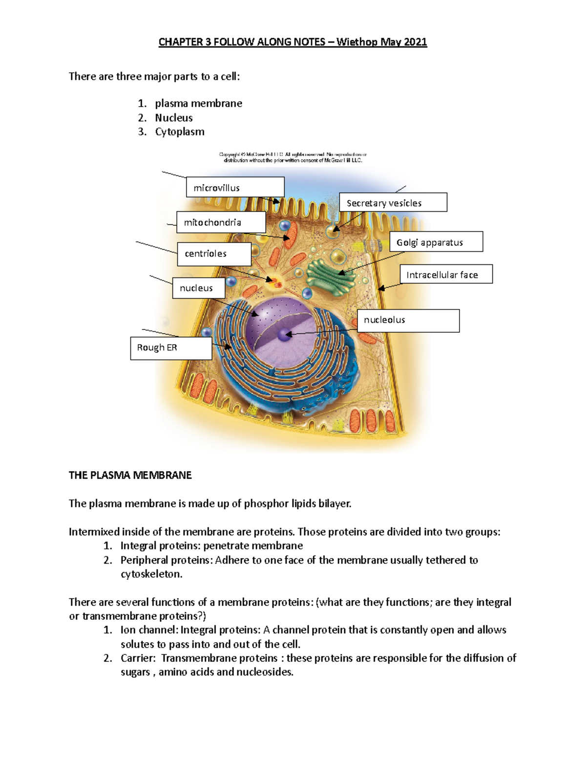 Chapter 3 Anatomy Physiology Files - There Are Three Major Parts To A ...