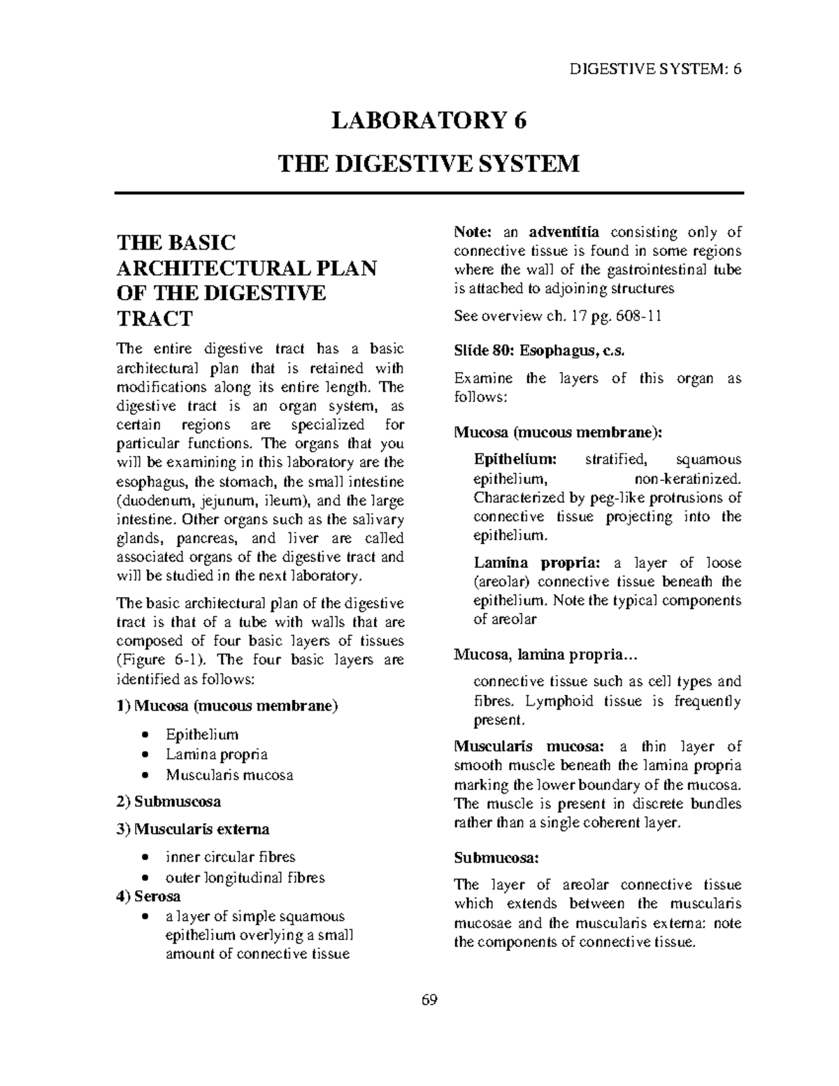 Lab 6 Digestive System LABORATORY 6 THE DIGESTIVE SYSTEM THE BASIC