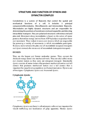 Neonatal Assessment format - Basics In Human Physiology And Pathology ...