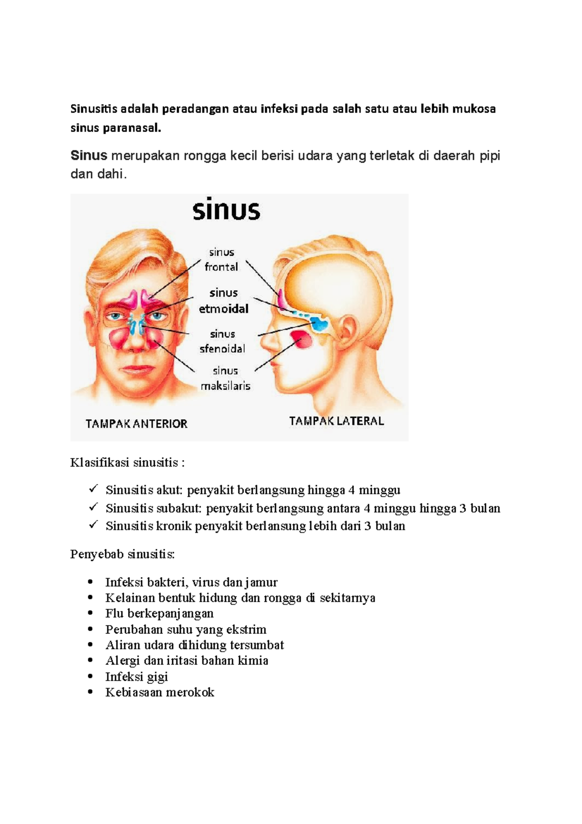 Apa Sih Sinusitis Itu - Tinjauan - Sinusitis Adalah Peradangan Atau ...