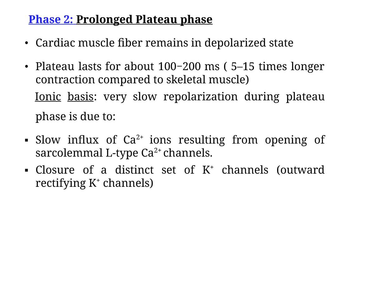 Properties of cardiac muscle 2 - Phase 2: Prolonged Plateau phase ...