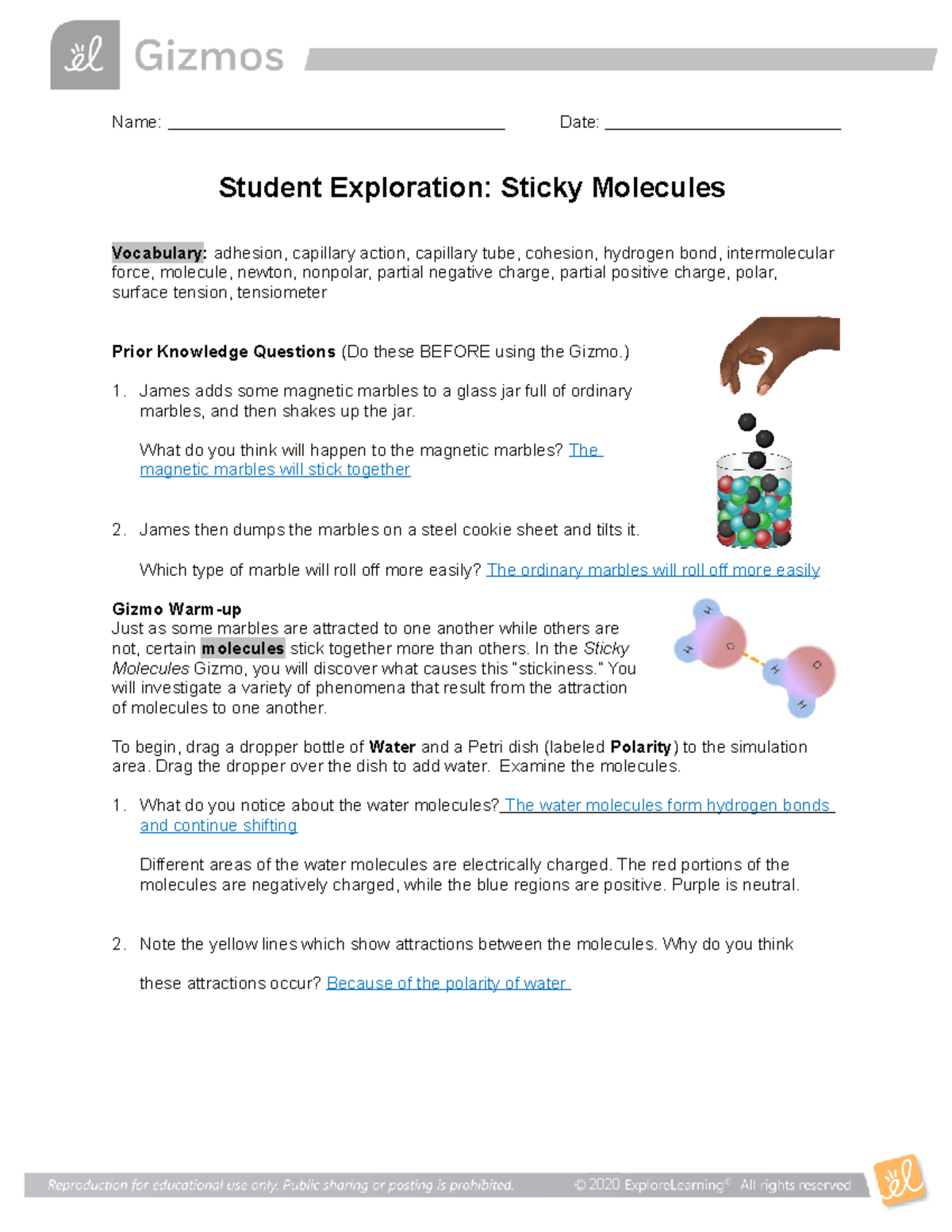 sticky-water-molecules-lab-3-honors-biology-name-date-student