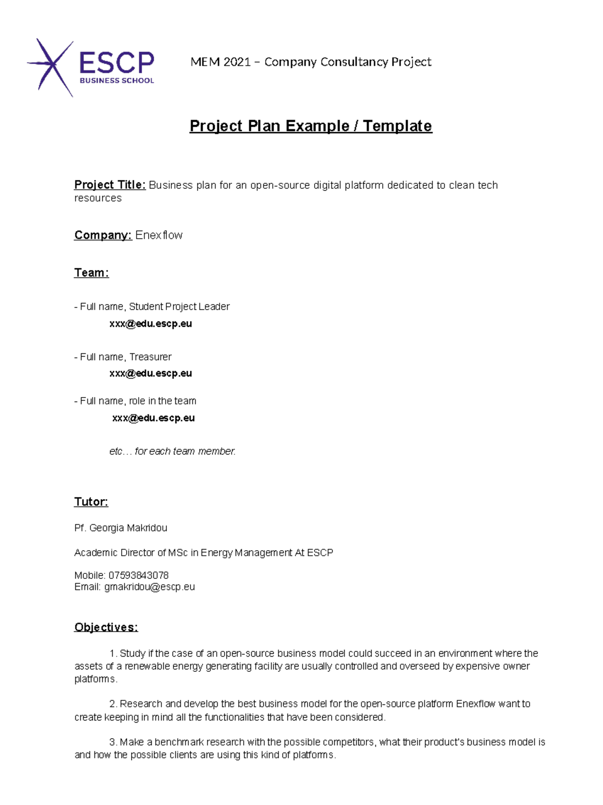 MEM2021 Project Plan Enexflow - MEM 2021 – Company Consultancy Project ...