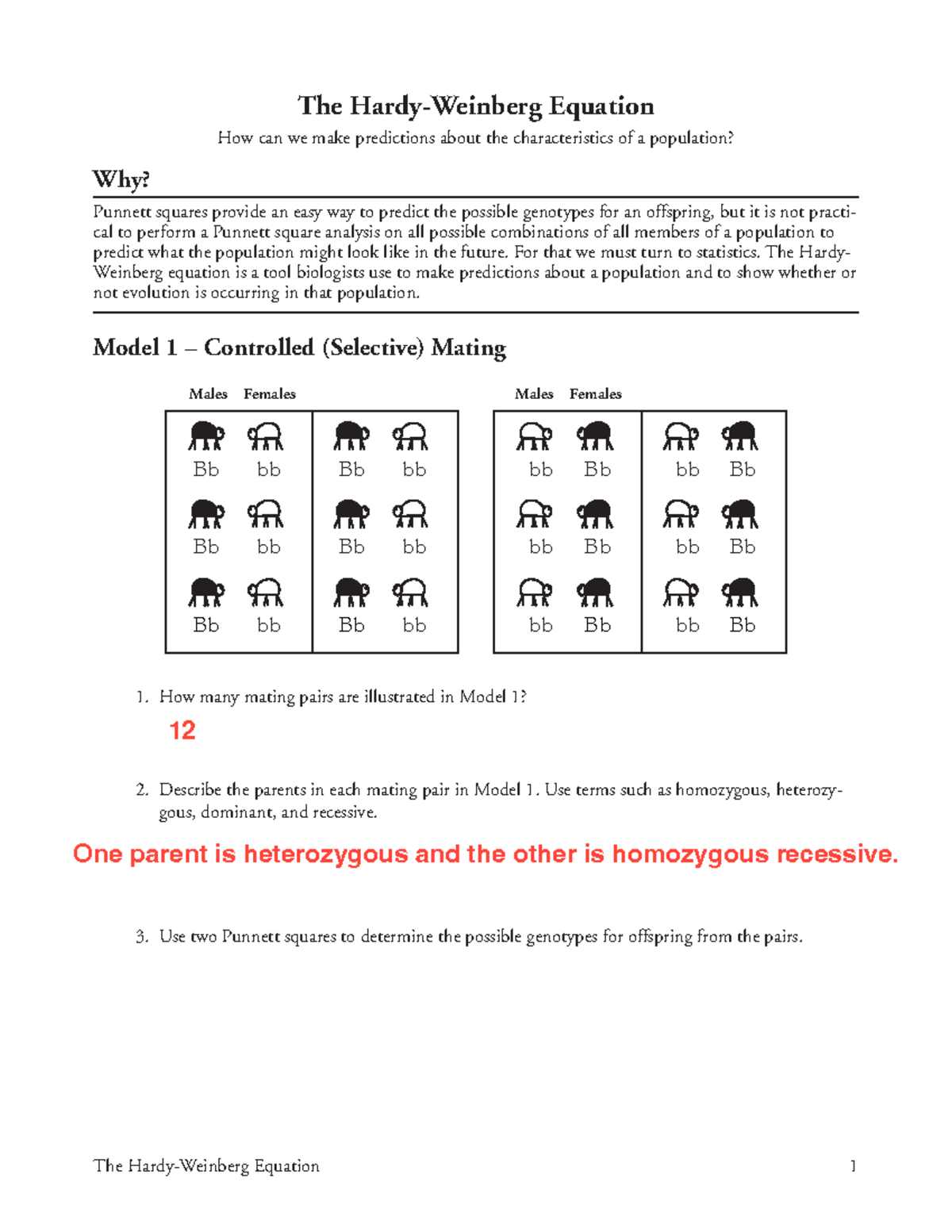 the-hardy-weinberg-equation-worksheet-ap-the-equation-how-can-we