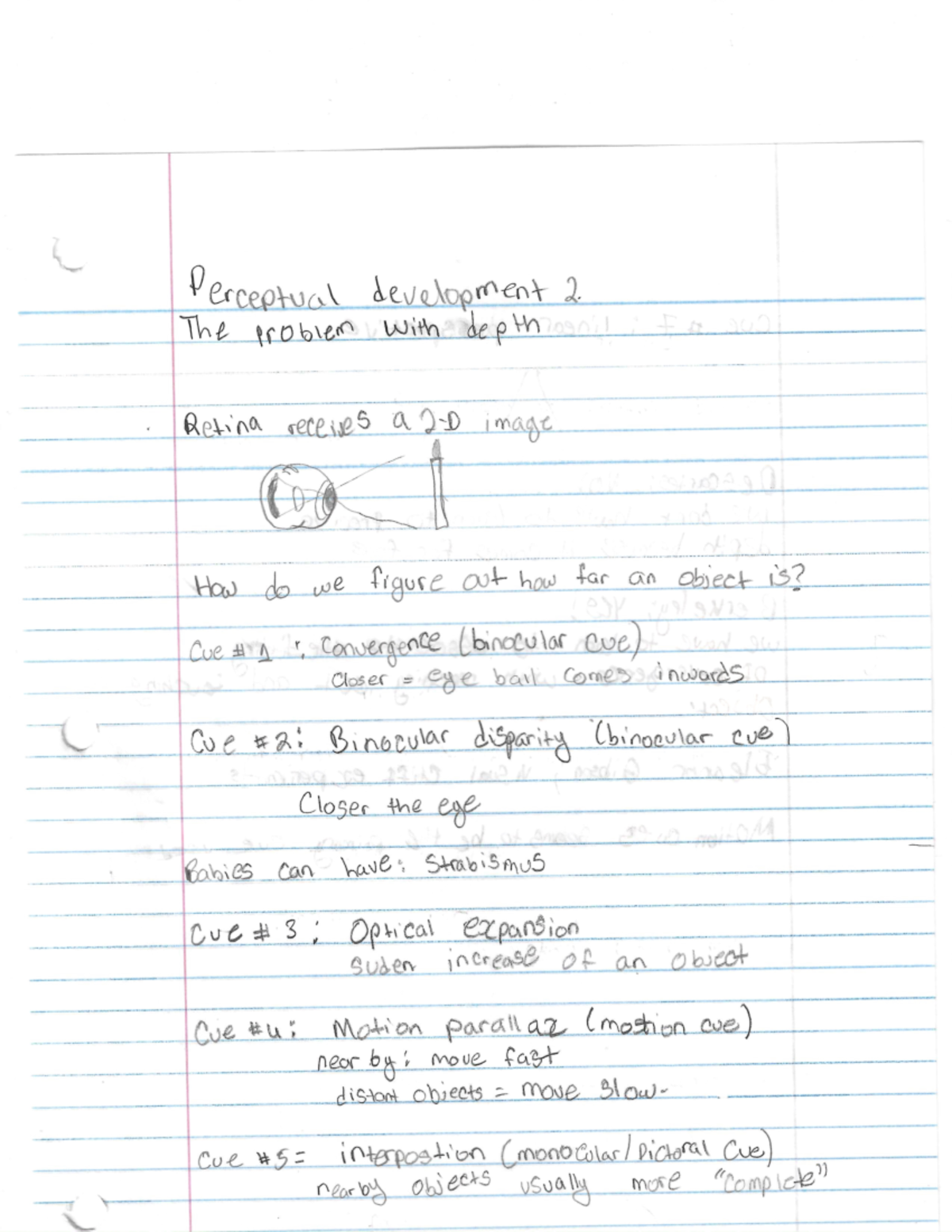 Psy220 chapter 3 notes - PSY 220 - Studocu