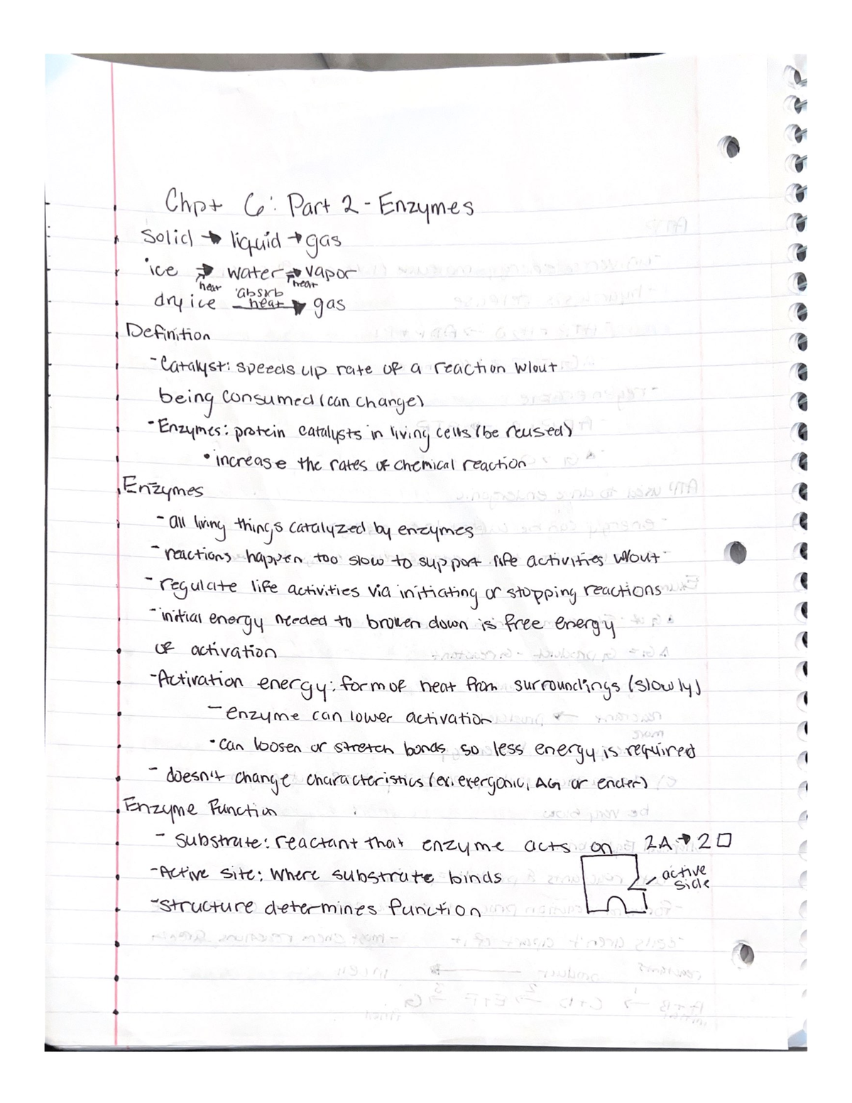 Chapter 6: Enzymes - BIOL 110 - Studocu