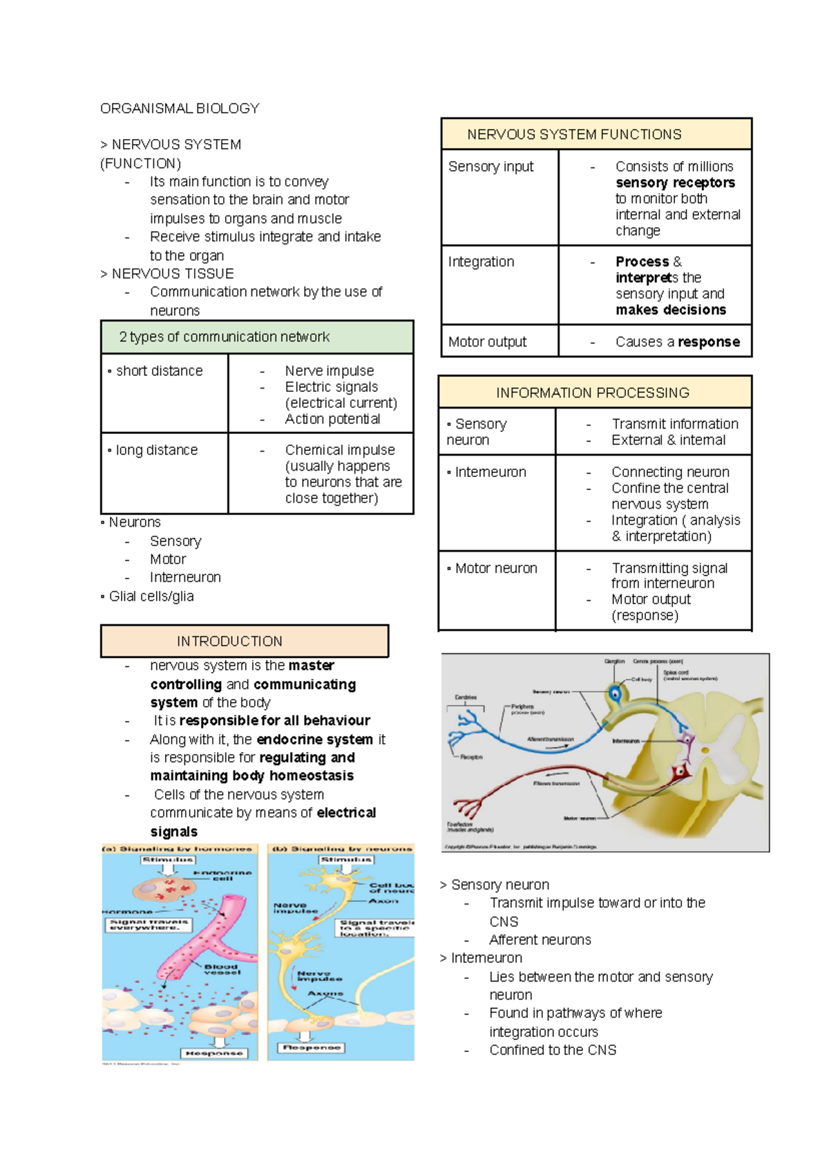 Organismal Biology - Bio - ORGANISMAL BIOLOGY > NERVOUS SYSTEM ...