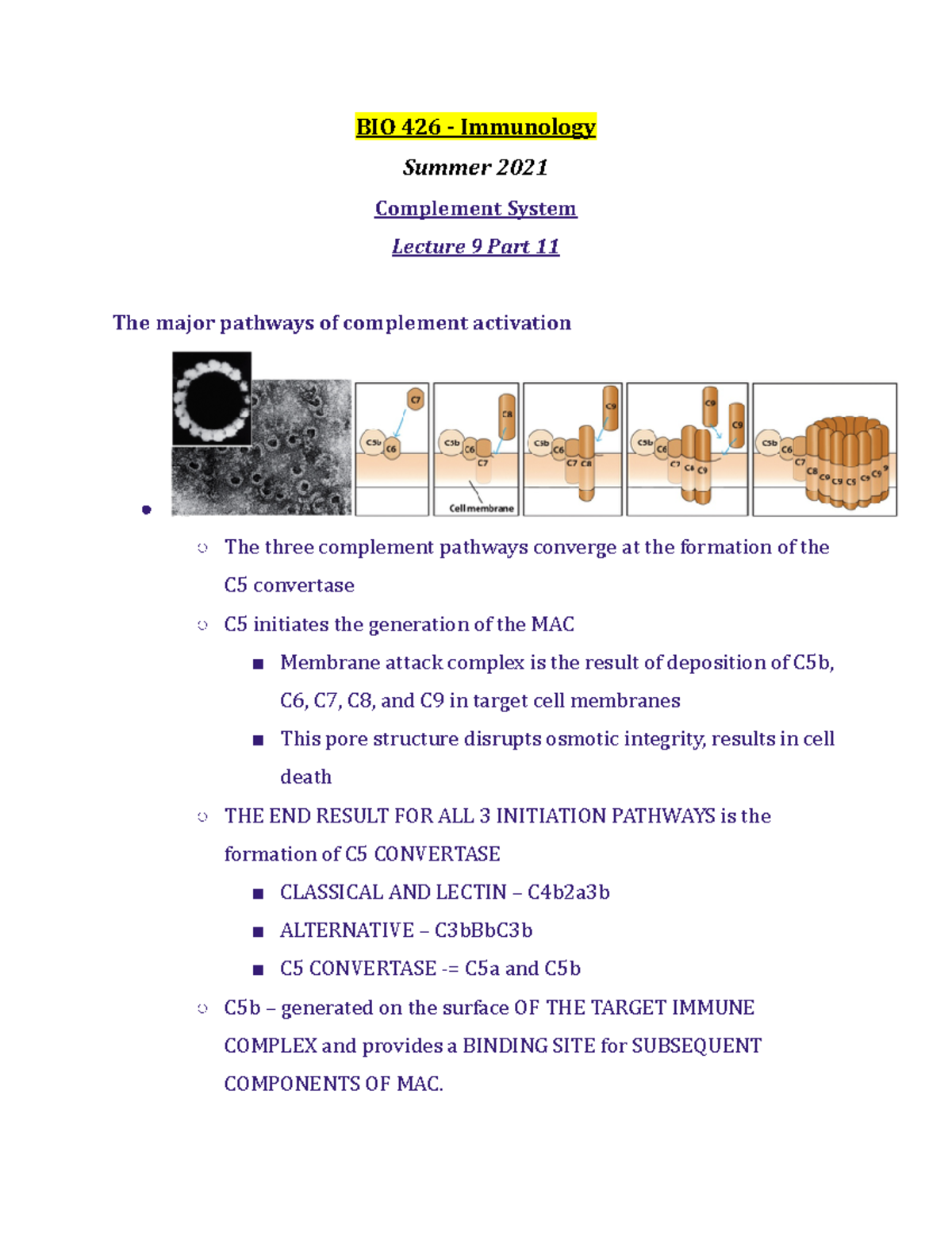 BIO 426 Lecture 9 Part 11 - Summer 2021 - BIO 426 - Studocu