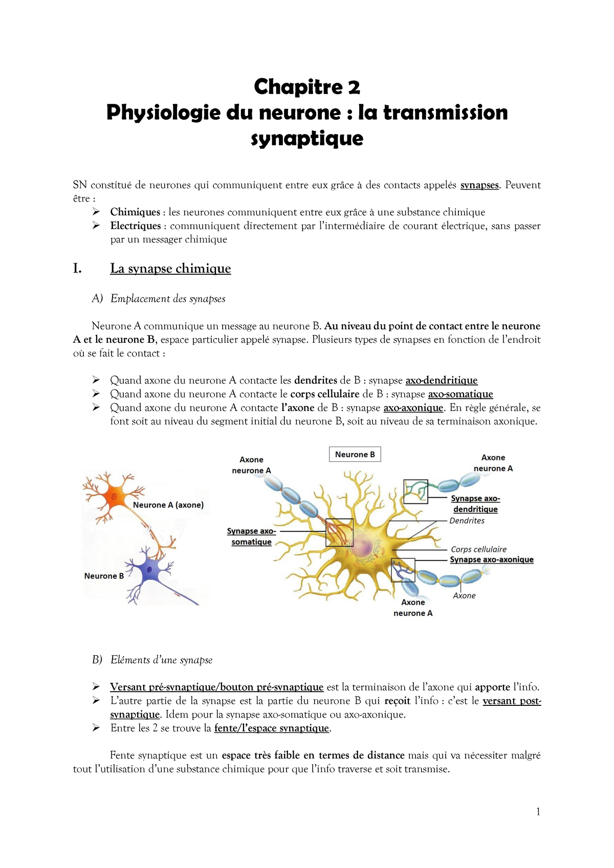 CM4-5 - CM4/CM5 Neurosciences L1 S2 - Chapitre 2 Physiologie Du Neurone ...