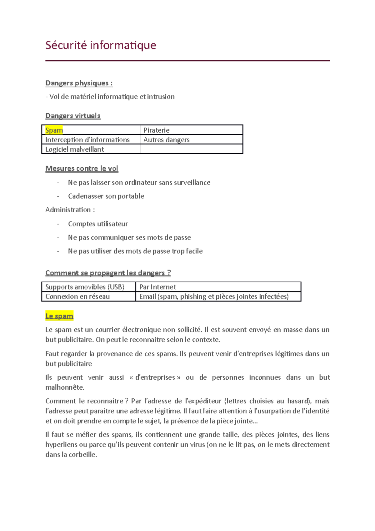 Sécurité informatique - Sécurité informatique Dangers physiques : Vol ...