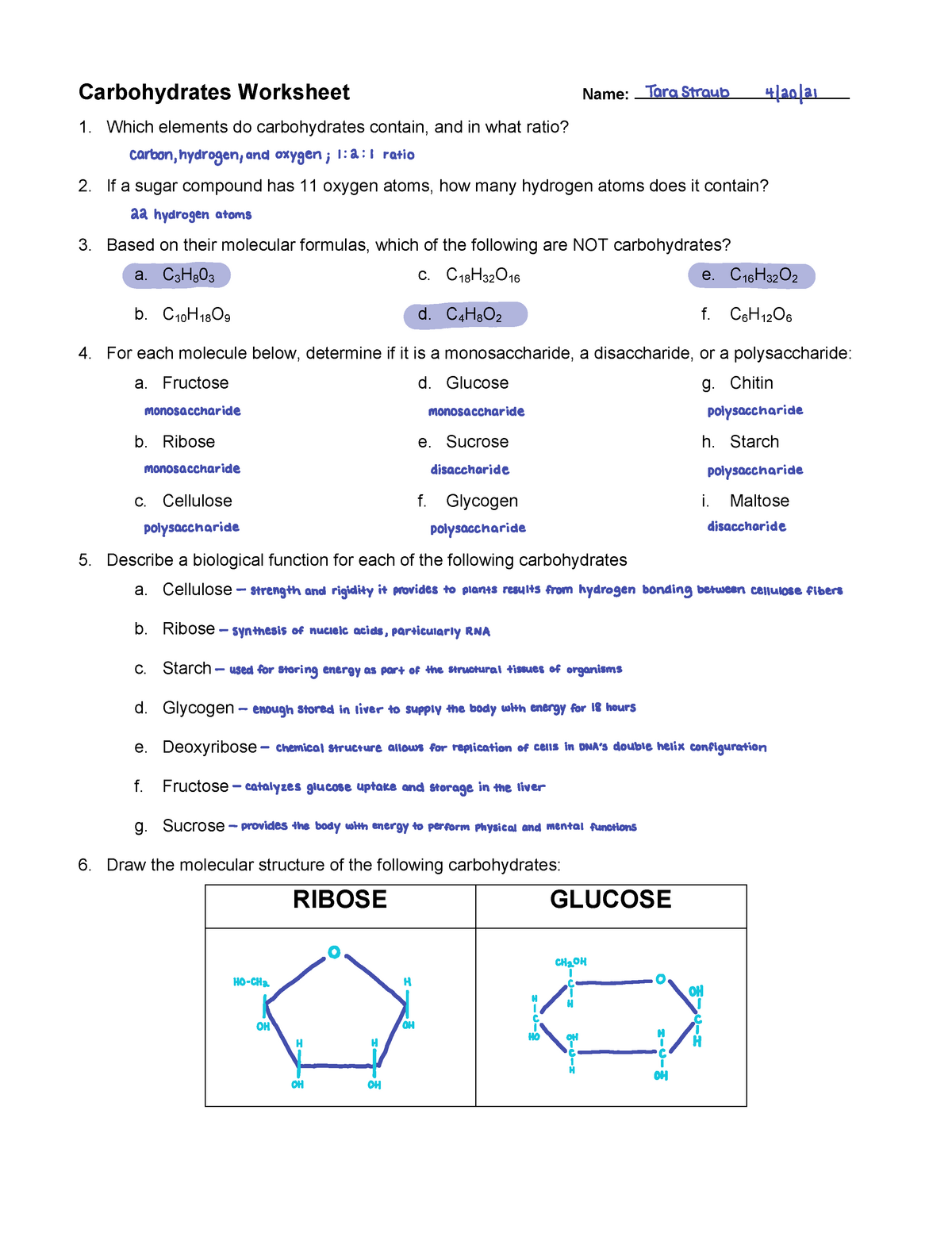 43-chemistry-of-carbohydrates-worksheet-answers-worksheet-master