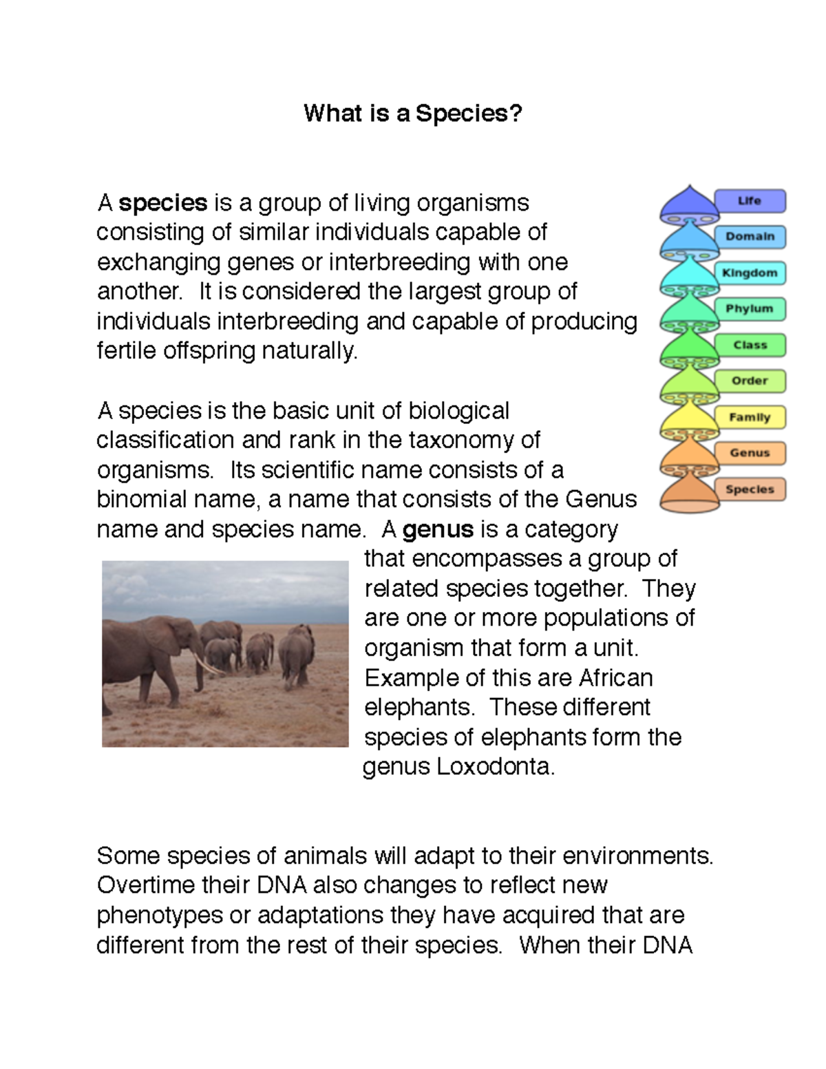 What is a species - Use as review for quizzes. - What is a Species? A