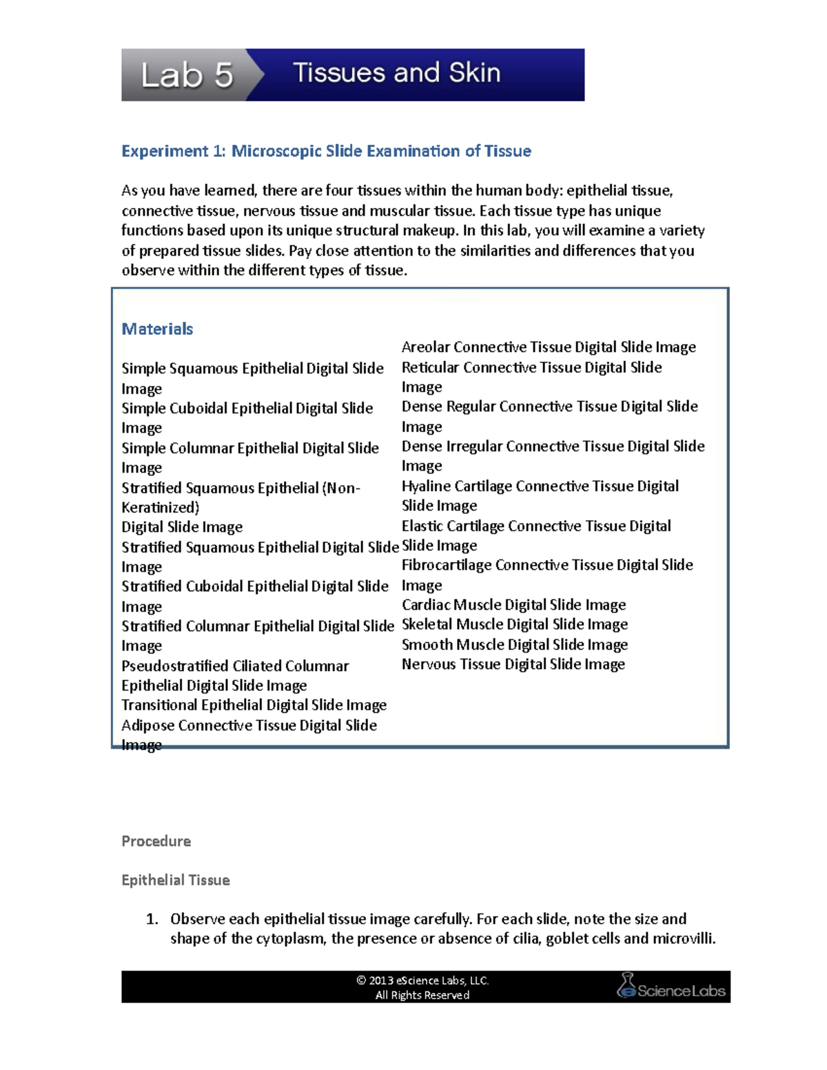 Tissues & Skin textbook Experiment 1 Microscopic Slide Examination