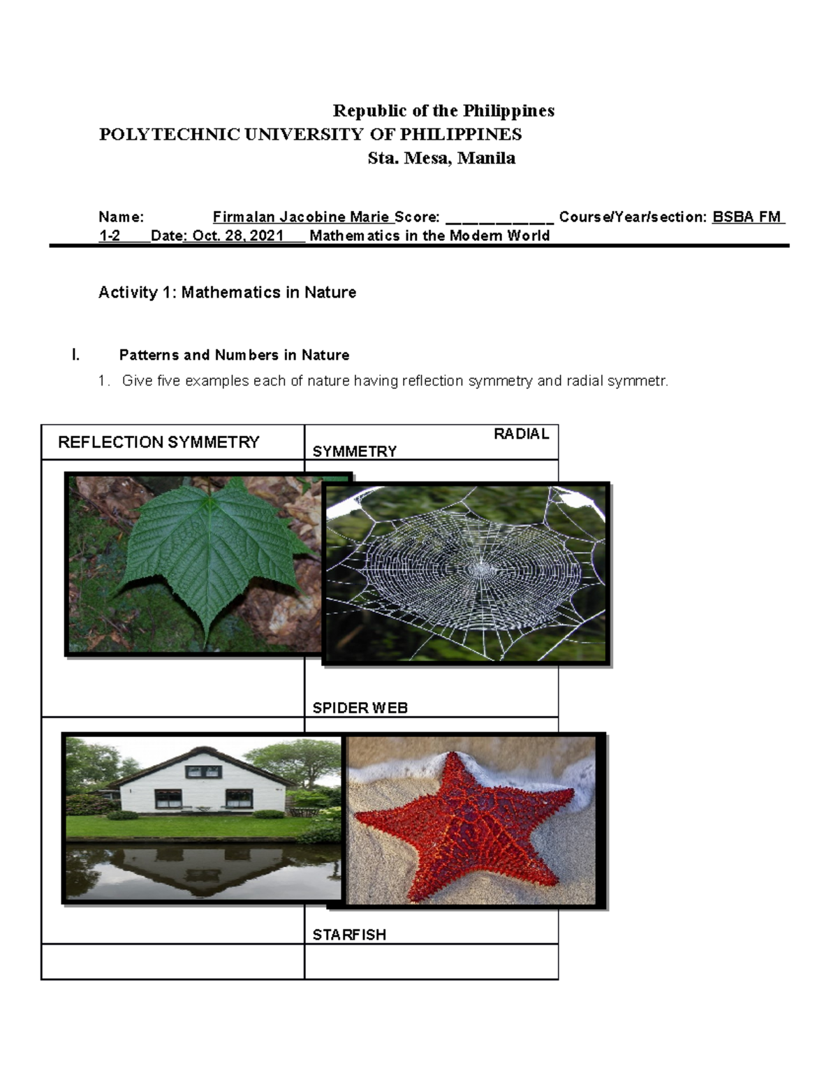 Fibonacci Sequence Problems - Mathematics in the Modern World - PUP ...