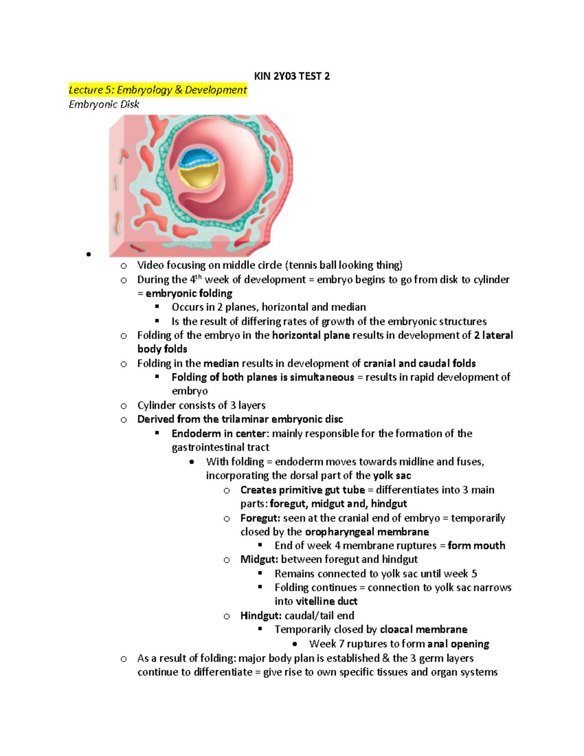 KIN 2Y03 TEST 2 Notes - KIN 2Y03 TEST 2 Lecture 5: Embryology ...