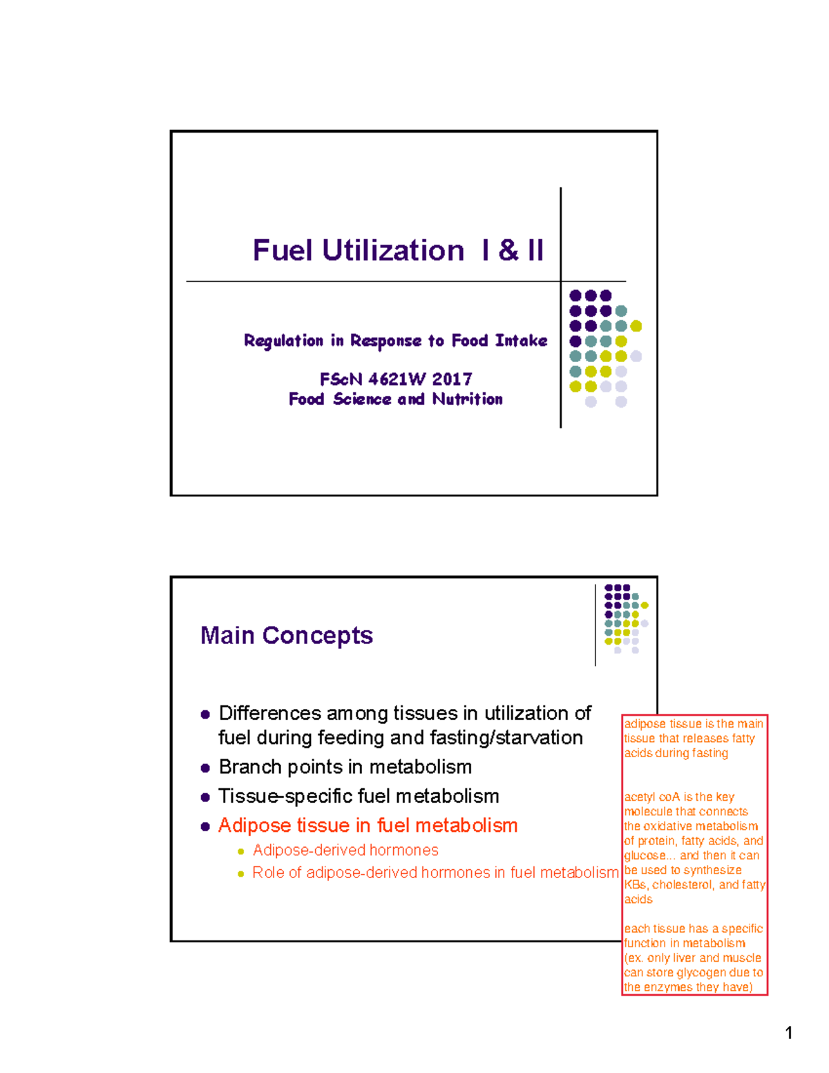 Fuel Utilization I II 2017 Notes 2pg Fuel Utilization I & II