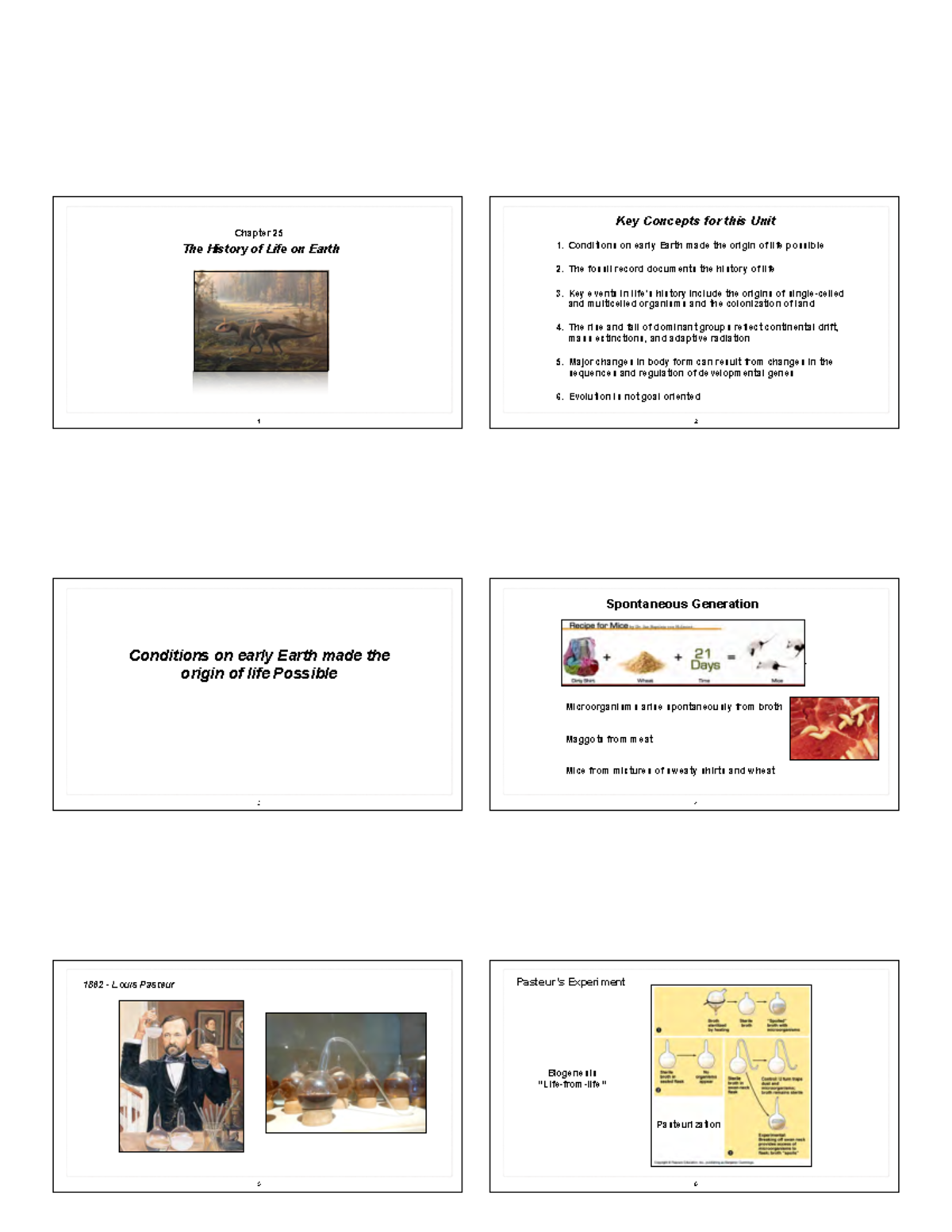 Key Concepts for Chapter 25: The History of Life on Earth - Studocu