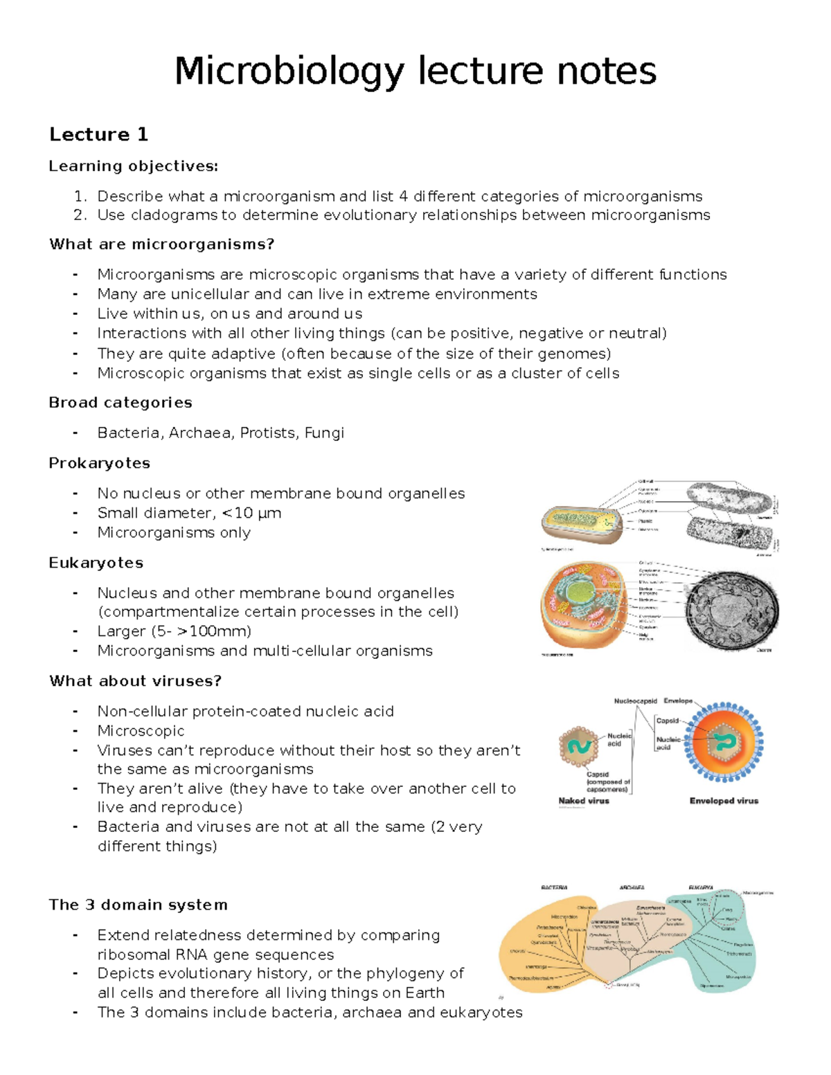 Final EXAM Review Micro.docx - Copy - Microbiology Lecture Notes ...