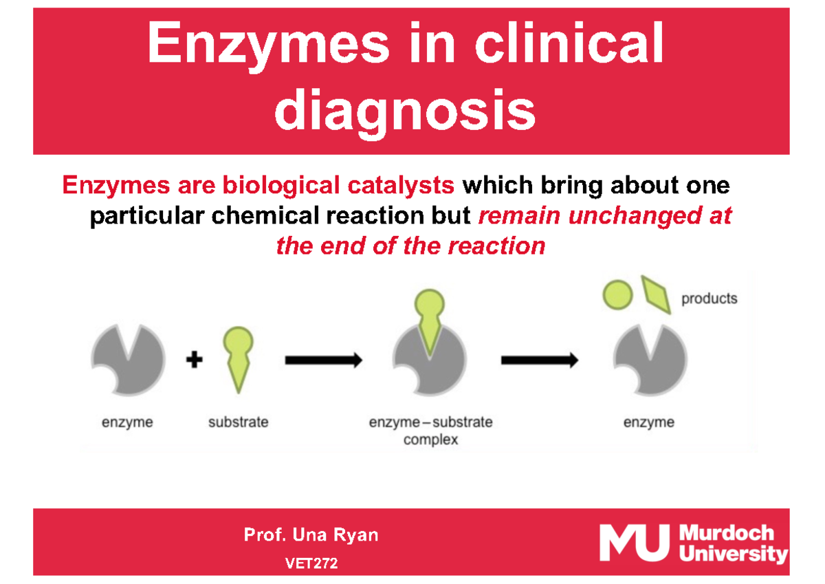 1 Enzymes in clinical diagnosis Enzymes in clinical diagnosis Enzymes