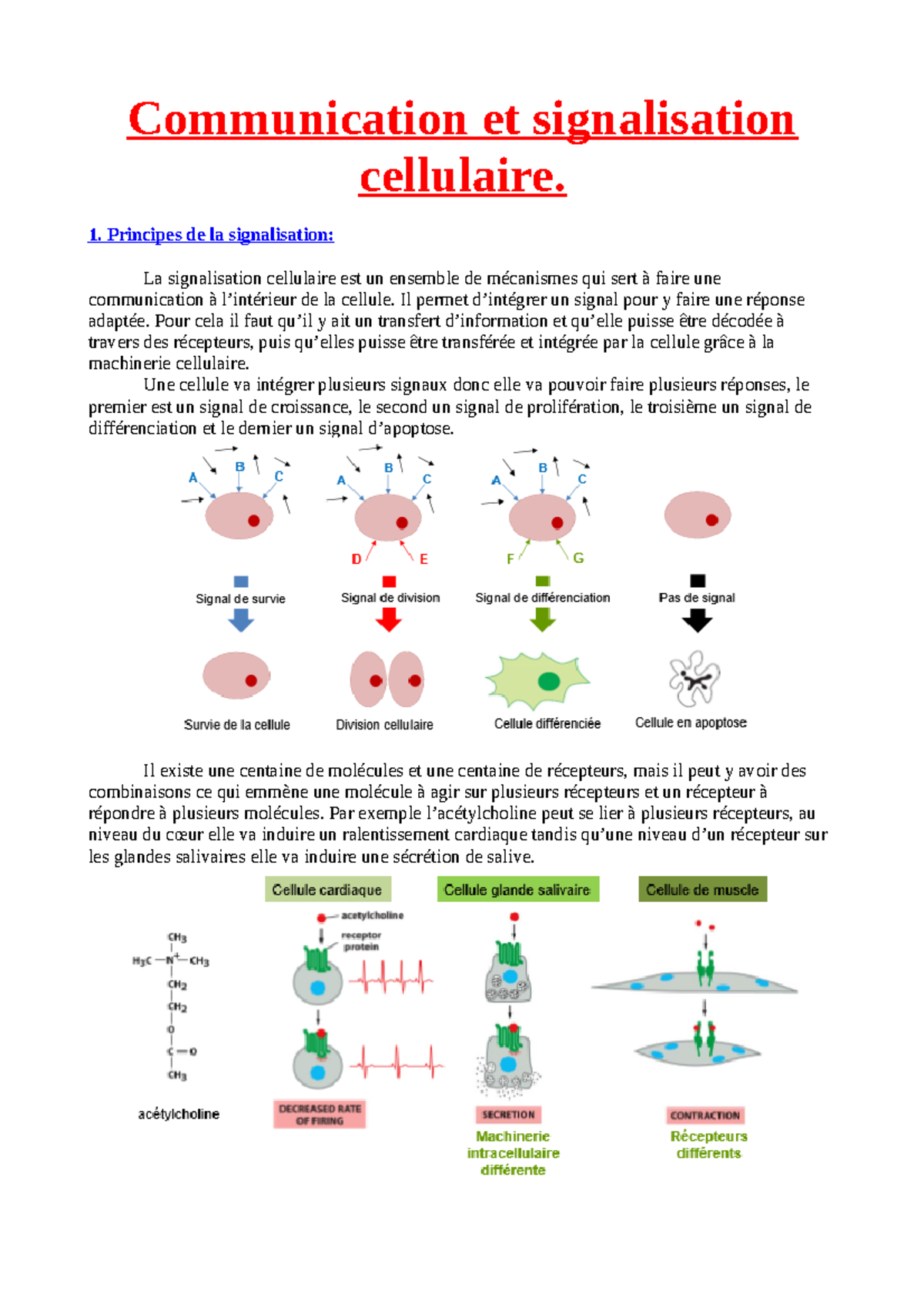 Chap 3 Transduction Et Signalisation Cellulaire - Communication Et ...