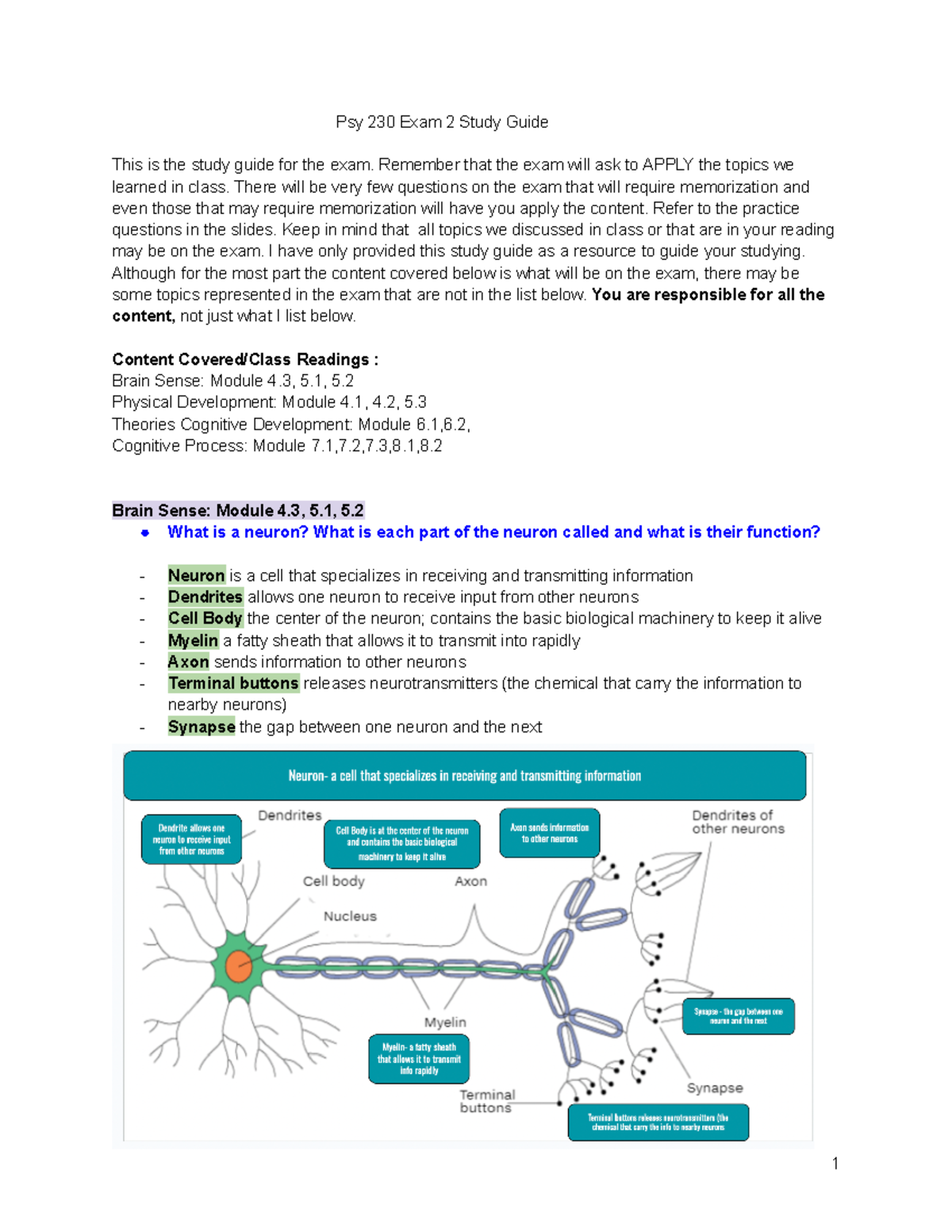 PSY230 Exam 2 Study Guide - Psy 230 Exam 2 Study Guide This Is The ...