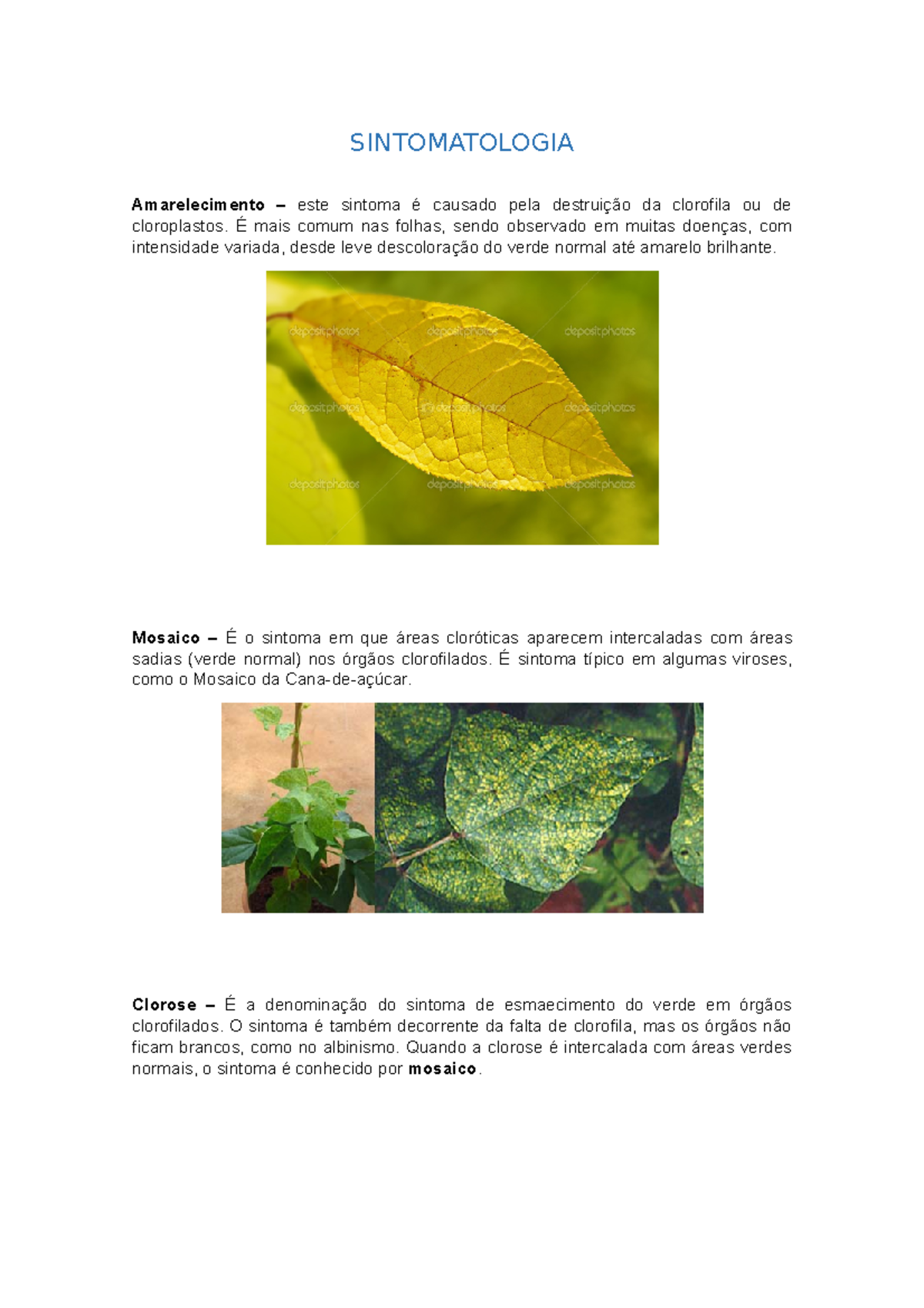 Sintomatologia - Arquivo descrevendo e ilustrando principais sintomas ...