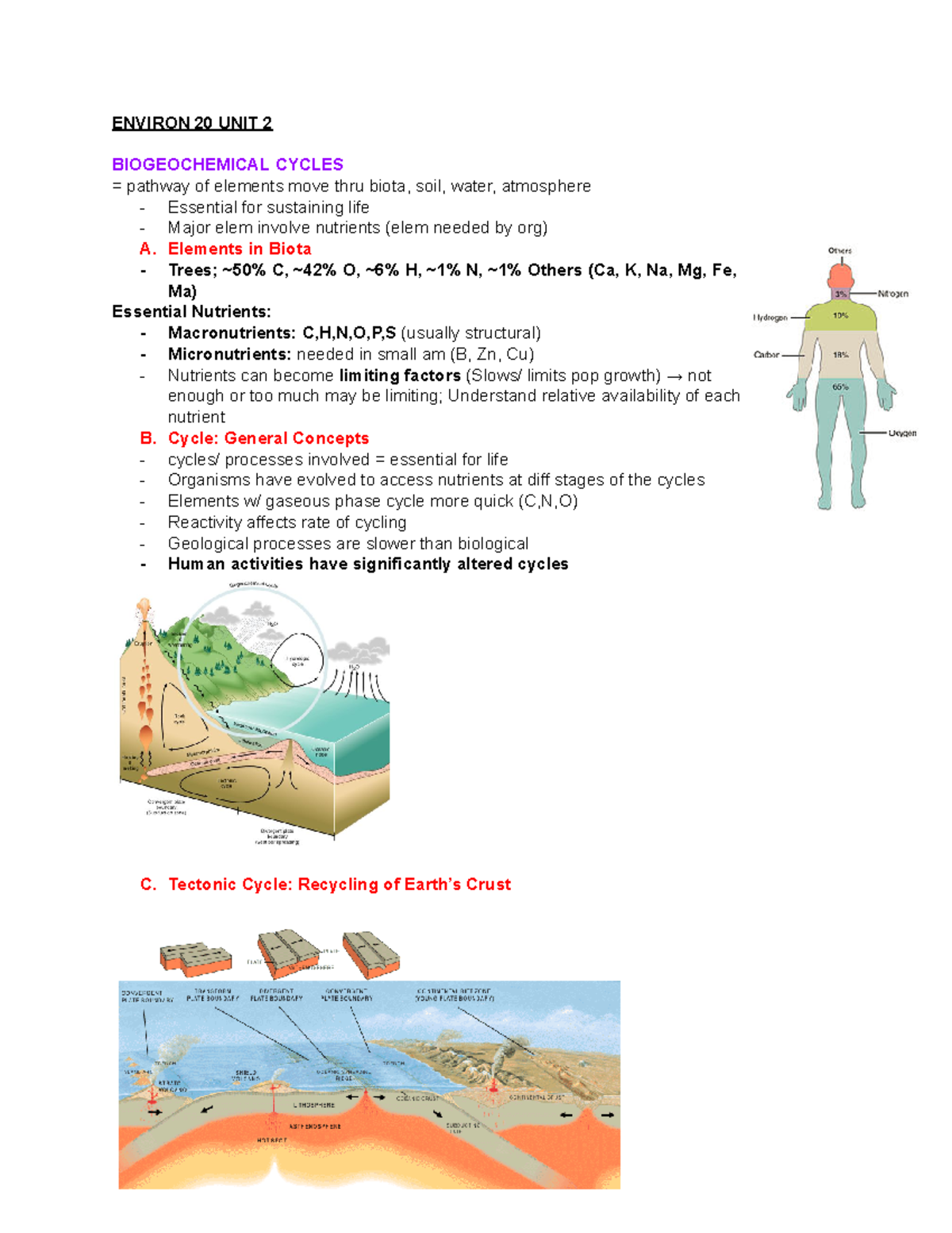 Environ 20 Unit 2 - ENVIRON 20 UNIT 2 BIOGEOCHEMICAL CYCLES = Pathway ...