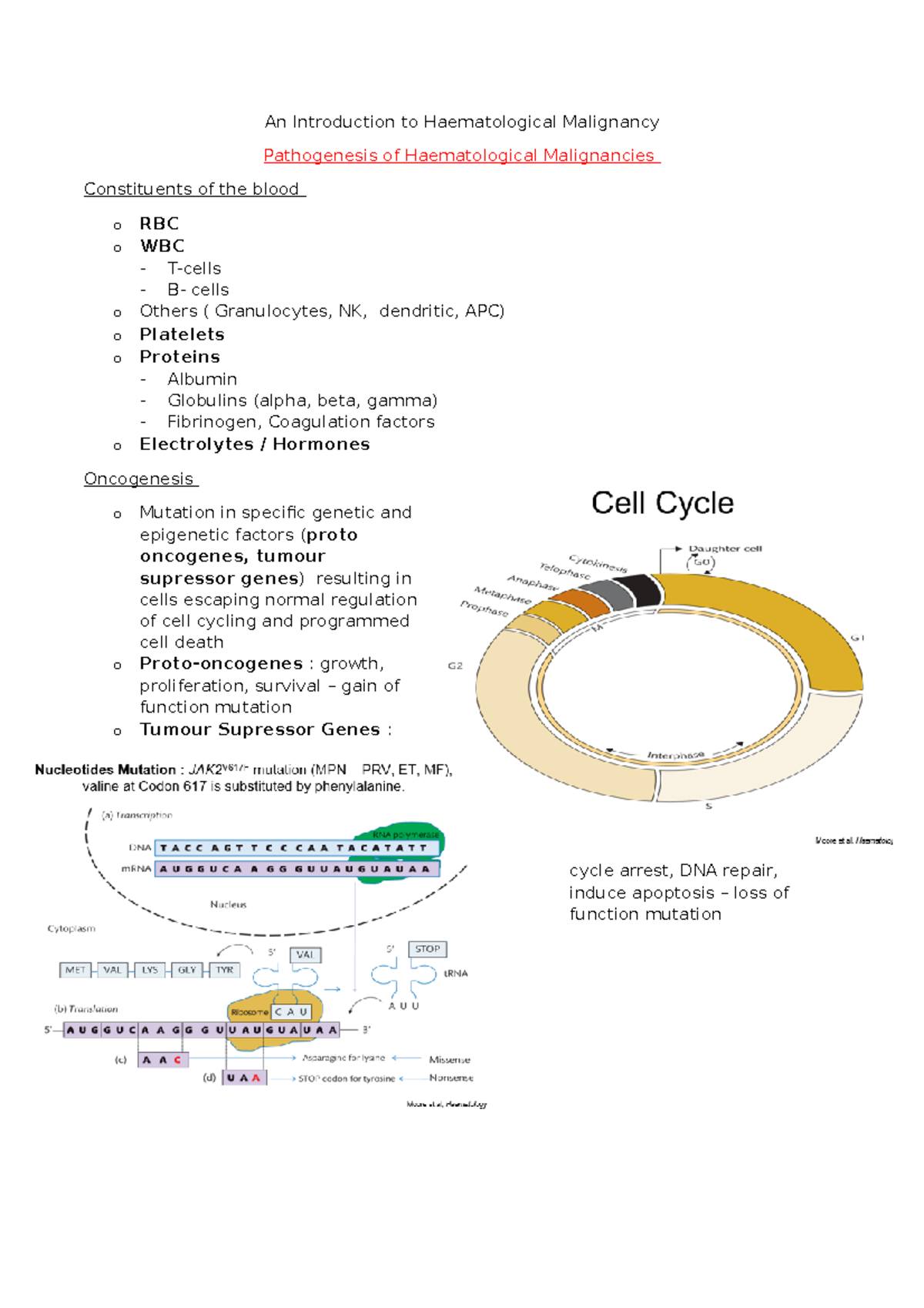 Lecture 4 Haematological Malignancy - An Introduction to Haematological ...