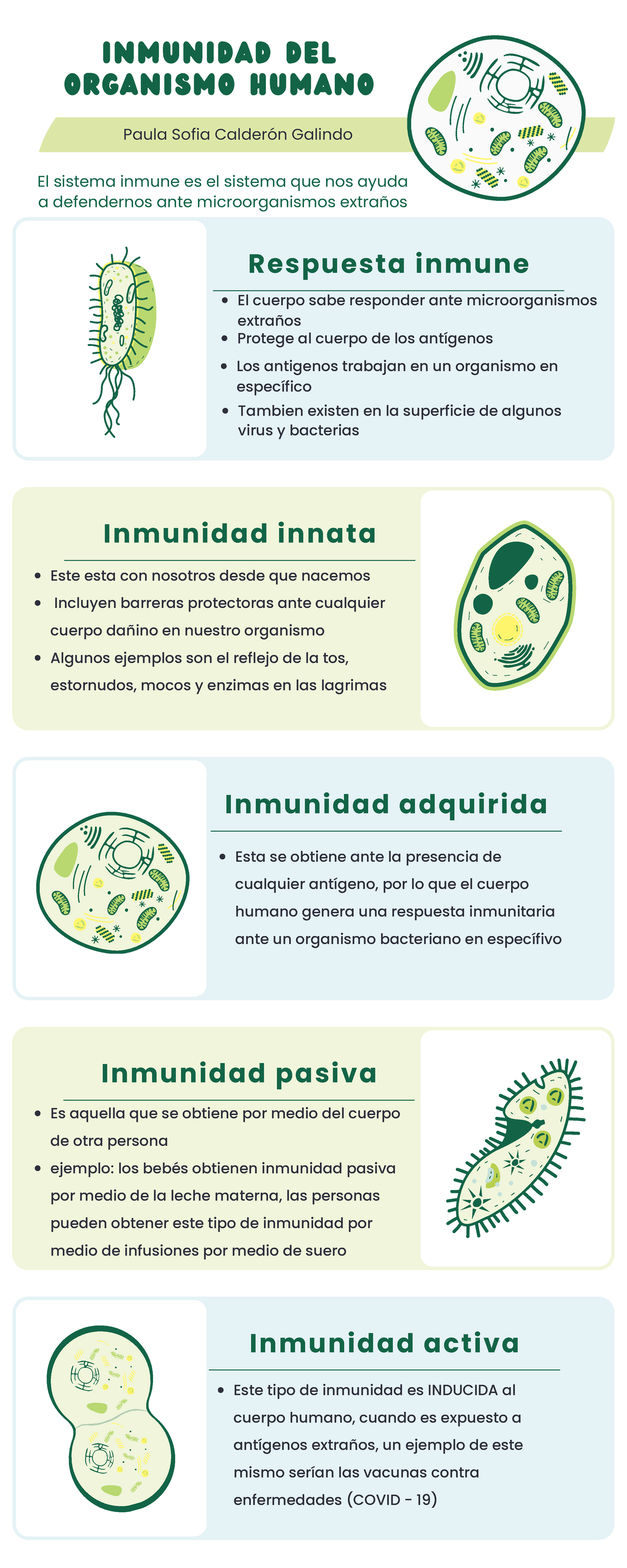 Inmunidad del organismo Humano - Inmunidad del organismo humano El ...