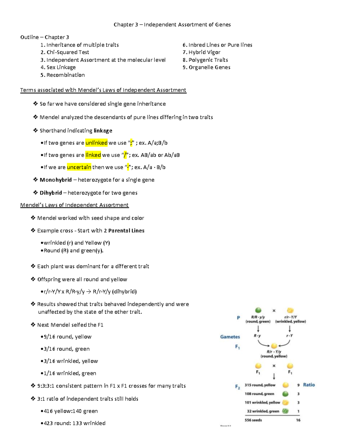 Chapter 3 genetics notes - Chapter 3 – Independent Assortment of Genes ...
