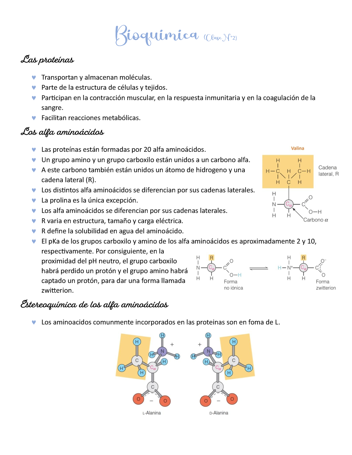 Clase Numero 2 Bioquimica - Bioquímica - Universidad Andrés Bello - Studocu