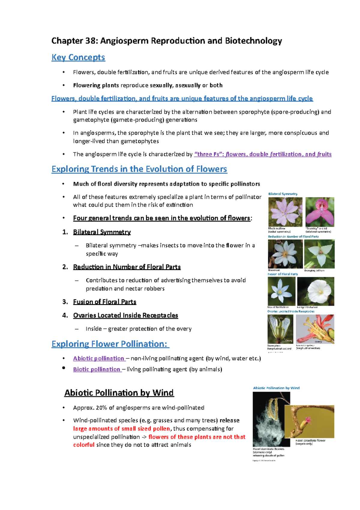 Chapter 38 (Angiosperm Reproduction and Biotechnology) - Chapter 38 ...