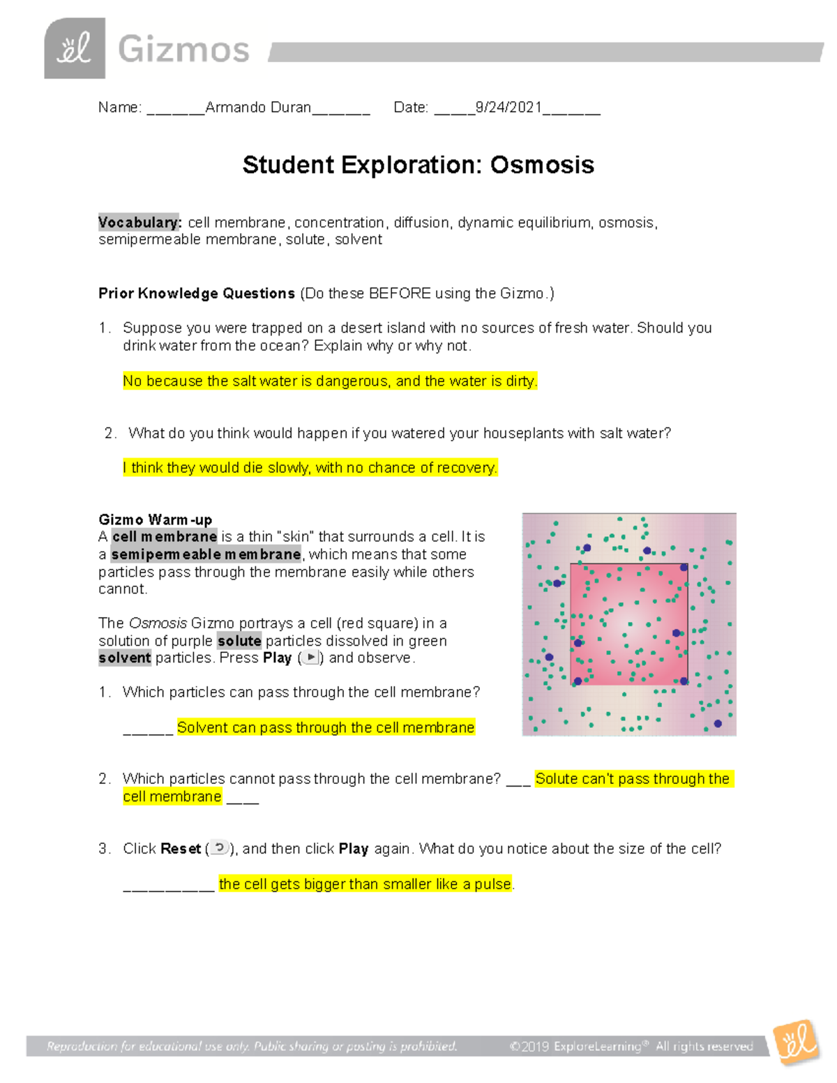 Osmosis Student Exploration for Biology Name Armando Duran Date 9