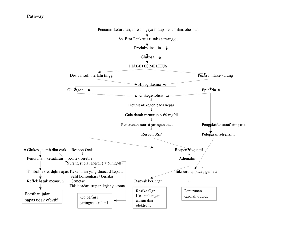 Pathway Hipoglikemia