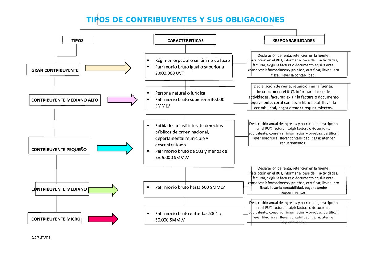 Aa2 Ev01 Mapa Conceptual Definir Los Tipos De Contribuyentes Y Sus Porn Sex Picture 2943