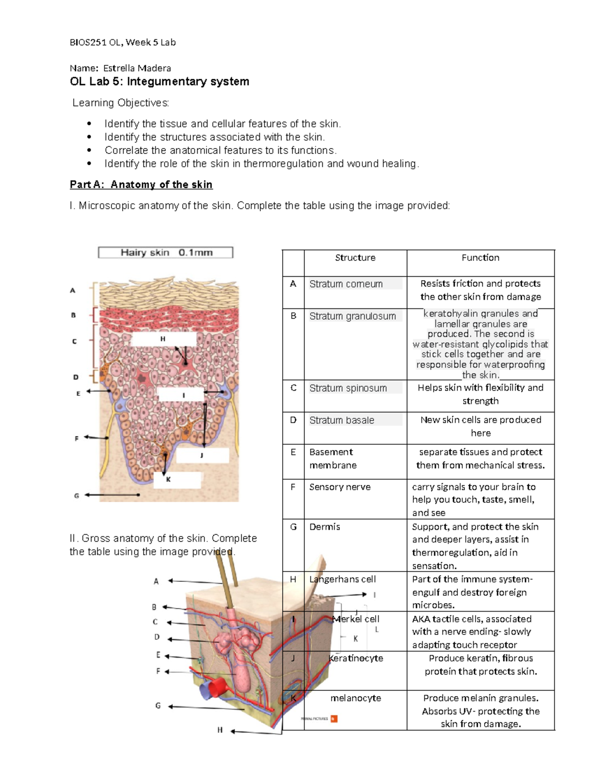 Week 5 lab - Week 5 Lab report - Name: Estrella Madera OL Lab 5 ...