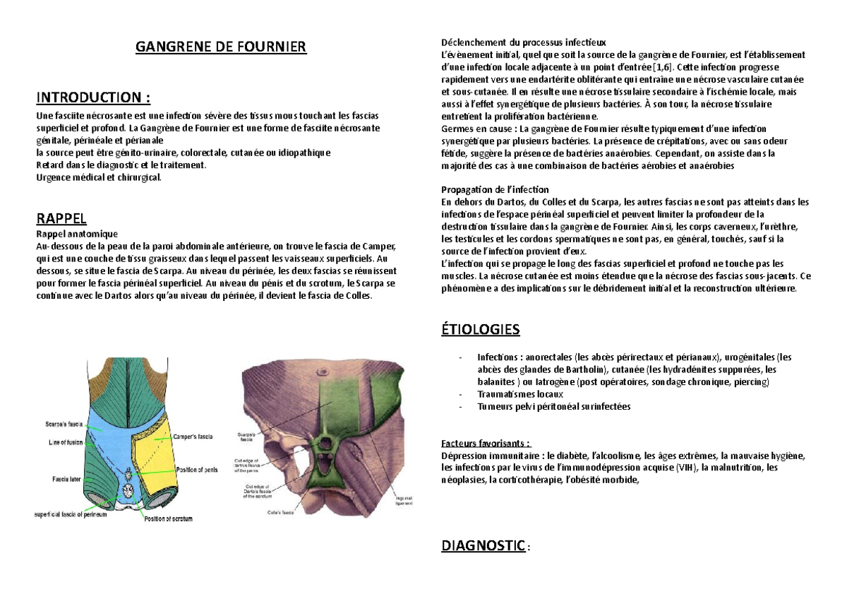 Gangrene DE Fournier cours resumé GANGRENE DE FOURNIER INTRODUCTION Une fasciite