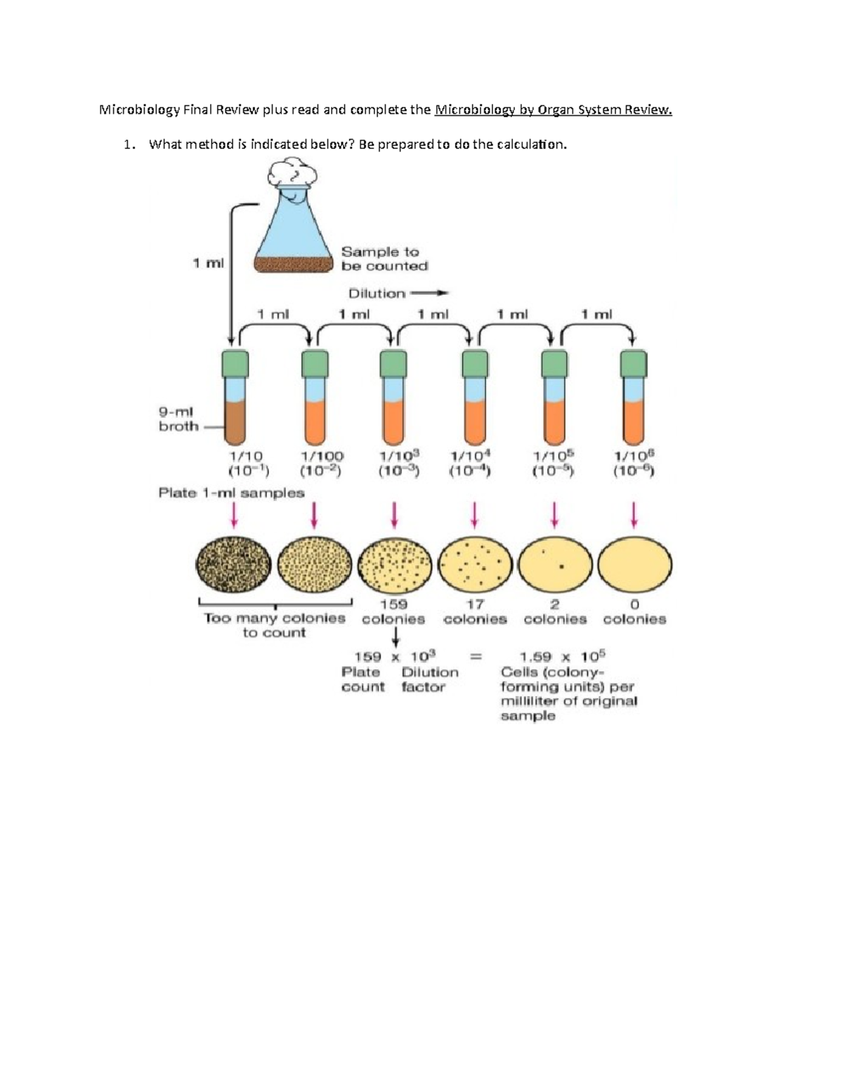 Micro Lab Final Study Guide 2 Microbiology Final Review plus read and