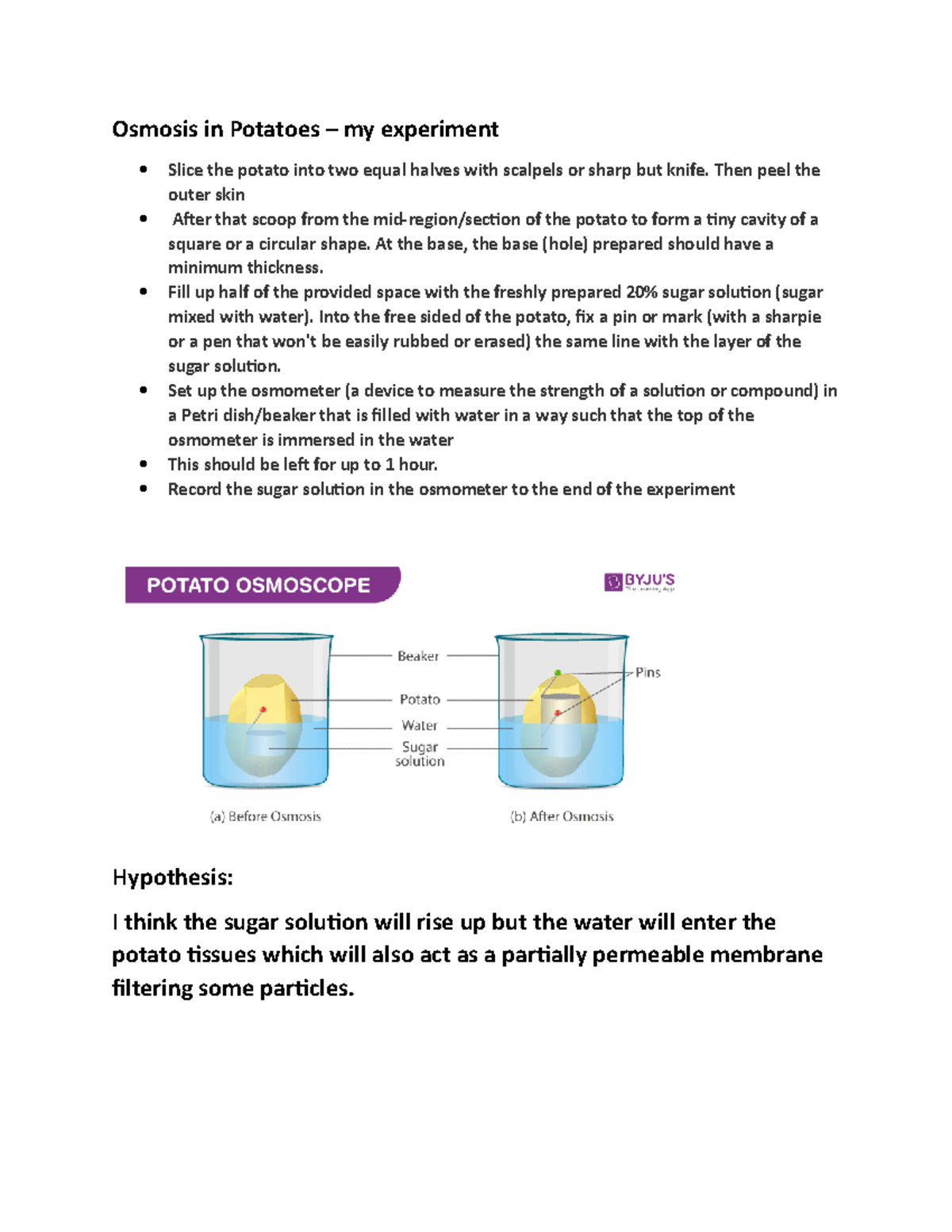 Osmosis Potato Experiment Salt Solution Lab Report At Sherita Johnson Blog