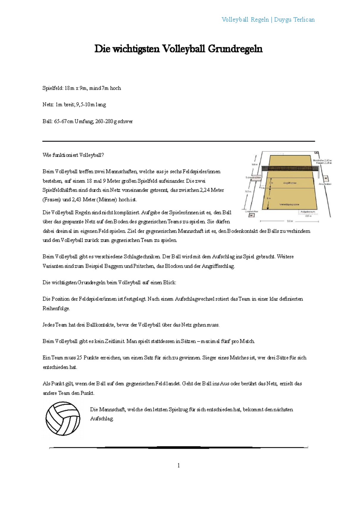 Volleyball Regeln Die zwei Spielfeldhälften sind durch ein Netz
