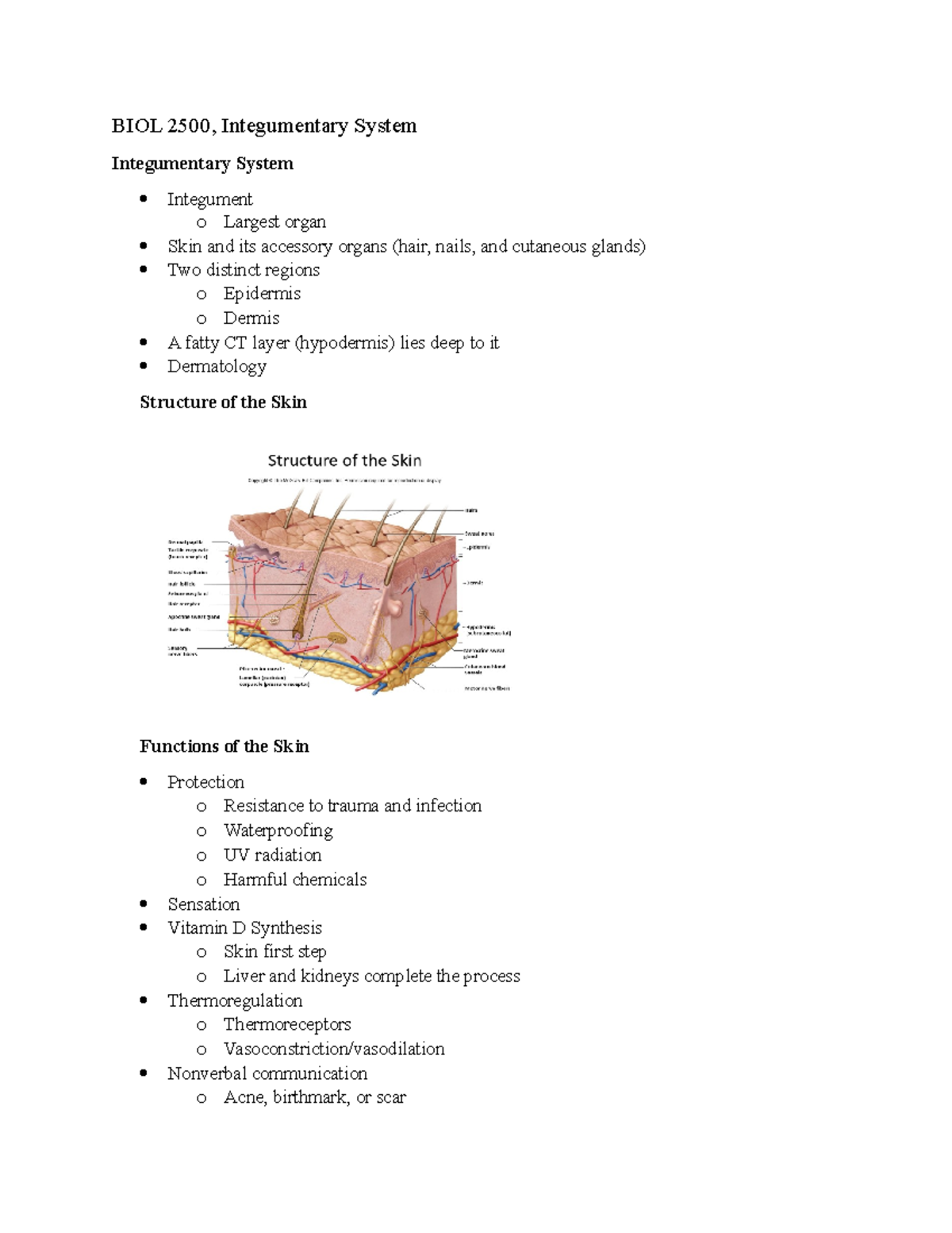 Integumentary System - Fall 2022, Shobnom Ferdous - BIOL 2500 ...