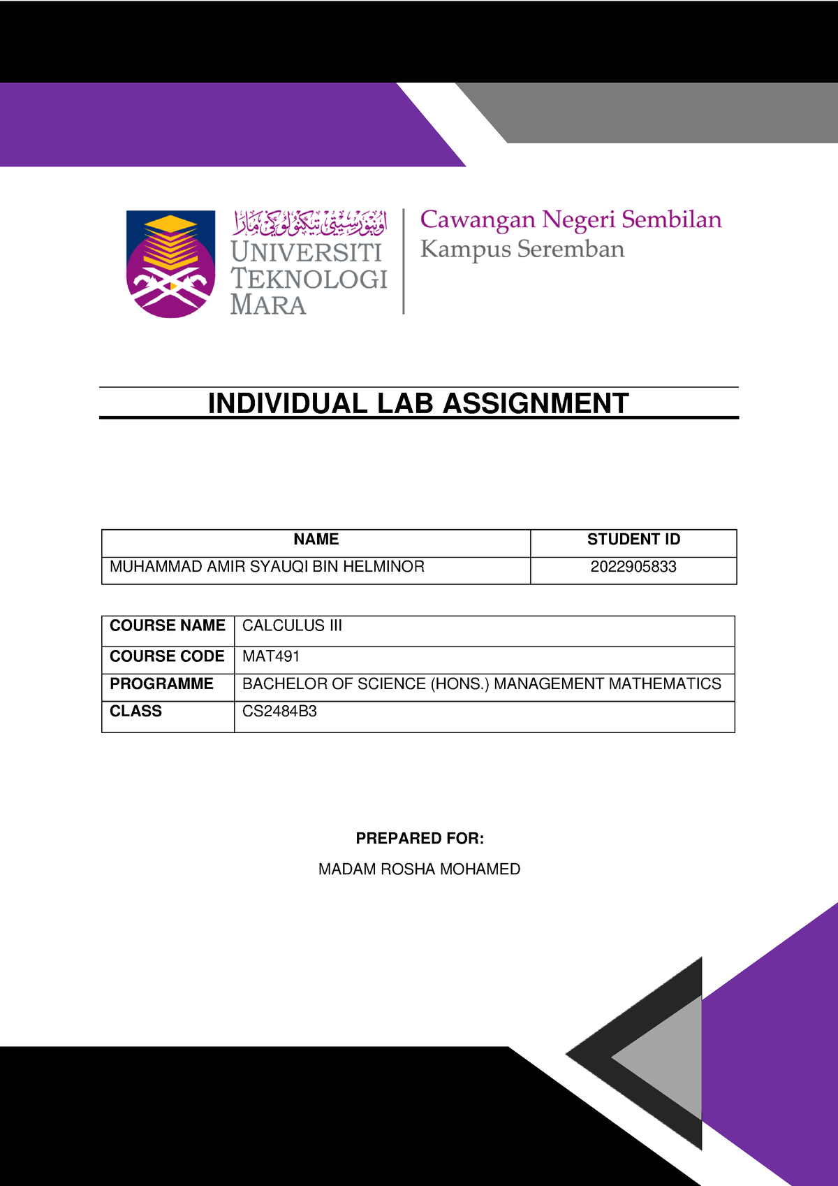 lab assignment mat491