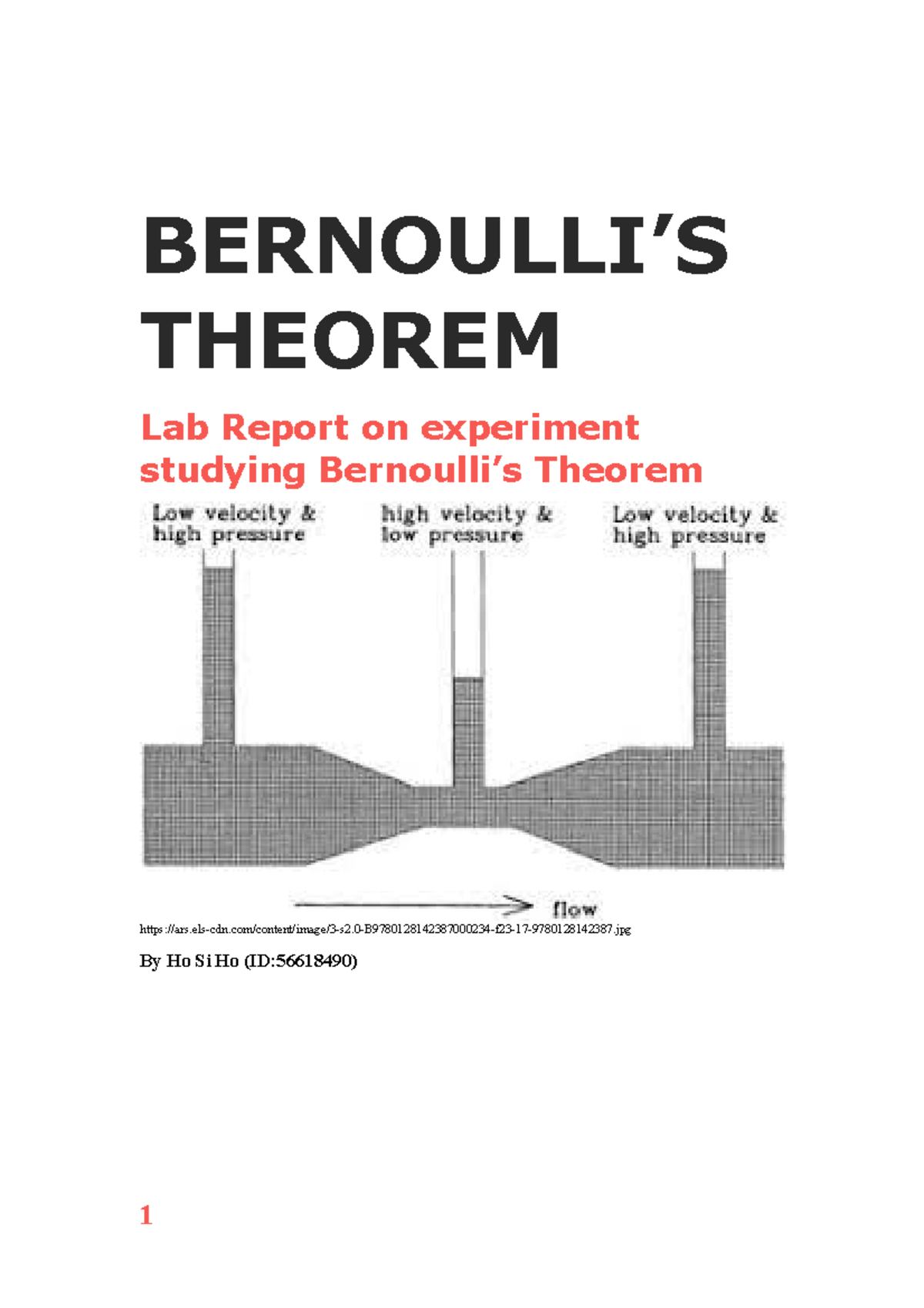 bernoulli experiment report