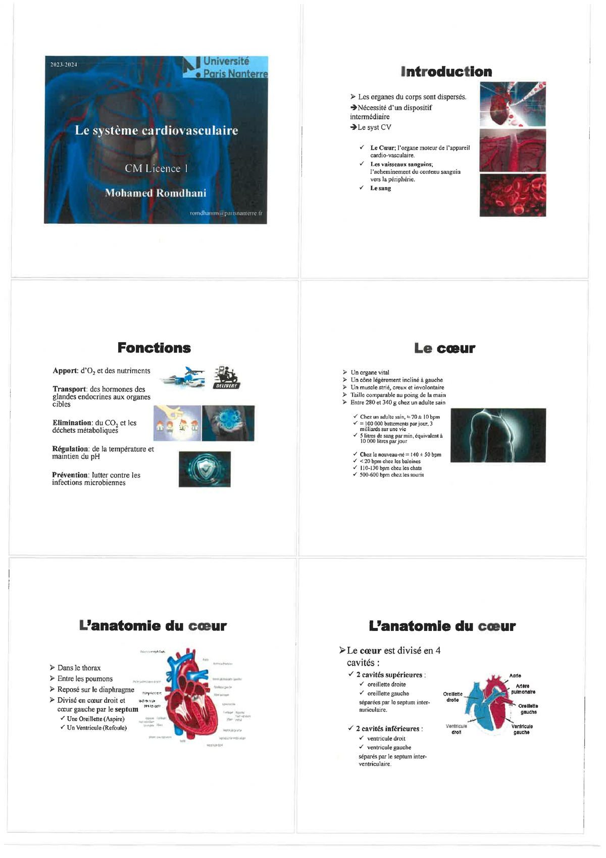 Support Cm Physiologie Syst Cardio Vasculaire L Studocu