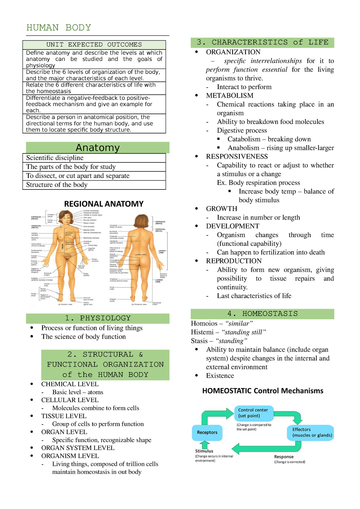 WEEK2 anatomy anf physiology - HUMAN BODY Anatomy Scientific discipline ...