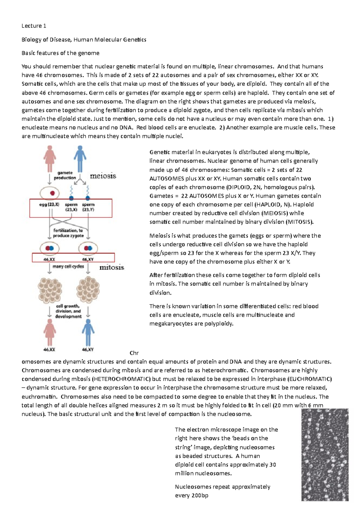 Hunter Lecture 1 - Lecture 1 Biology of Disease, Human Molecular ...