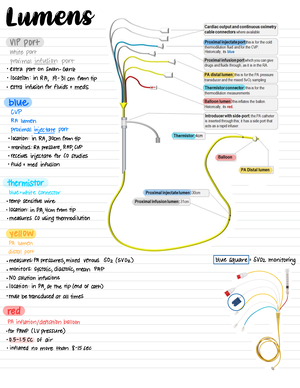 NUR2180 Physical Assessment Module 4 Quiz 2 SG VPS - NUR2180, Section ...