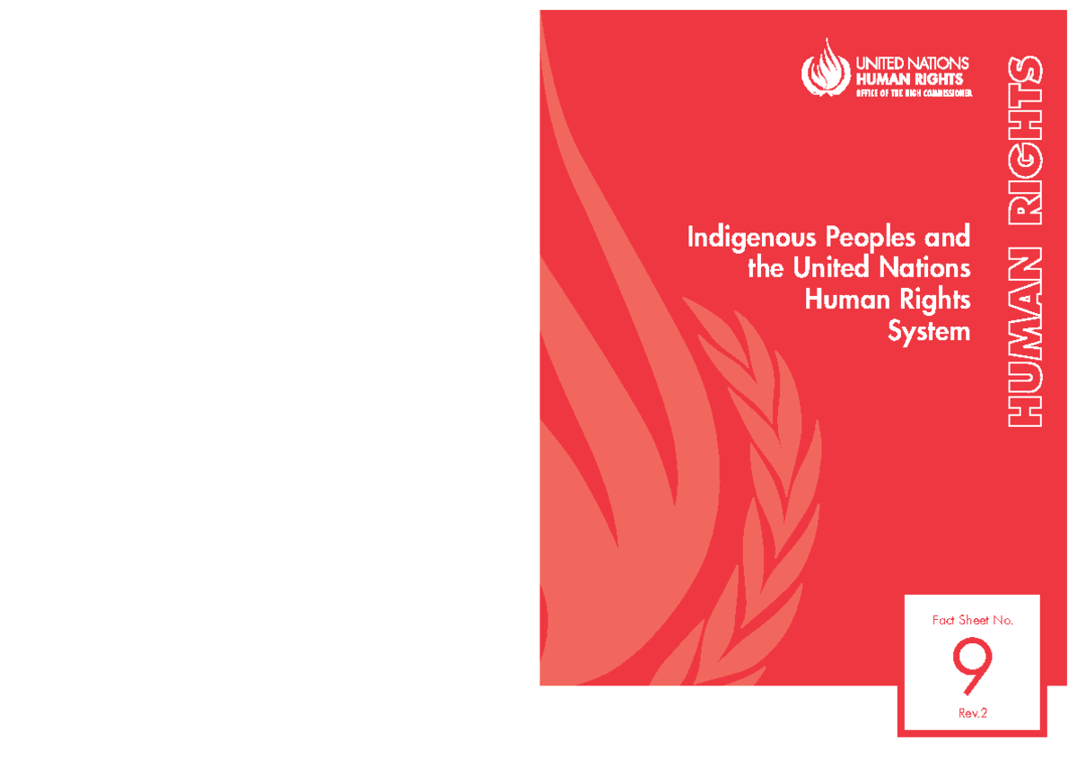 Indigenous Peoples and the United Nations Human Rights System - 9 ...